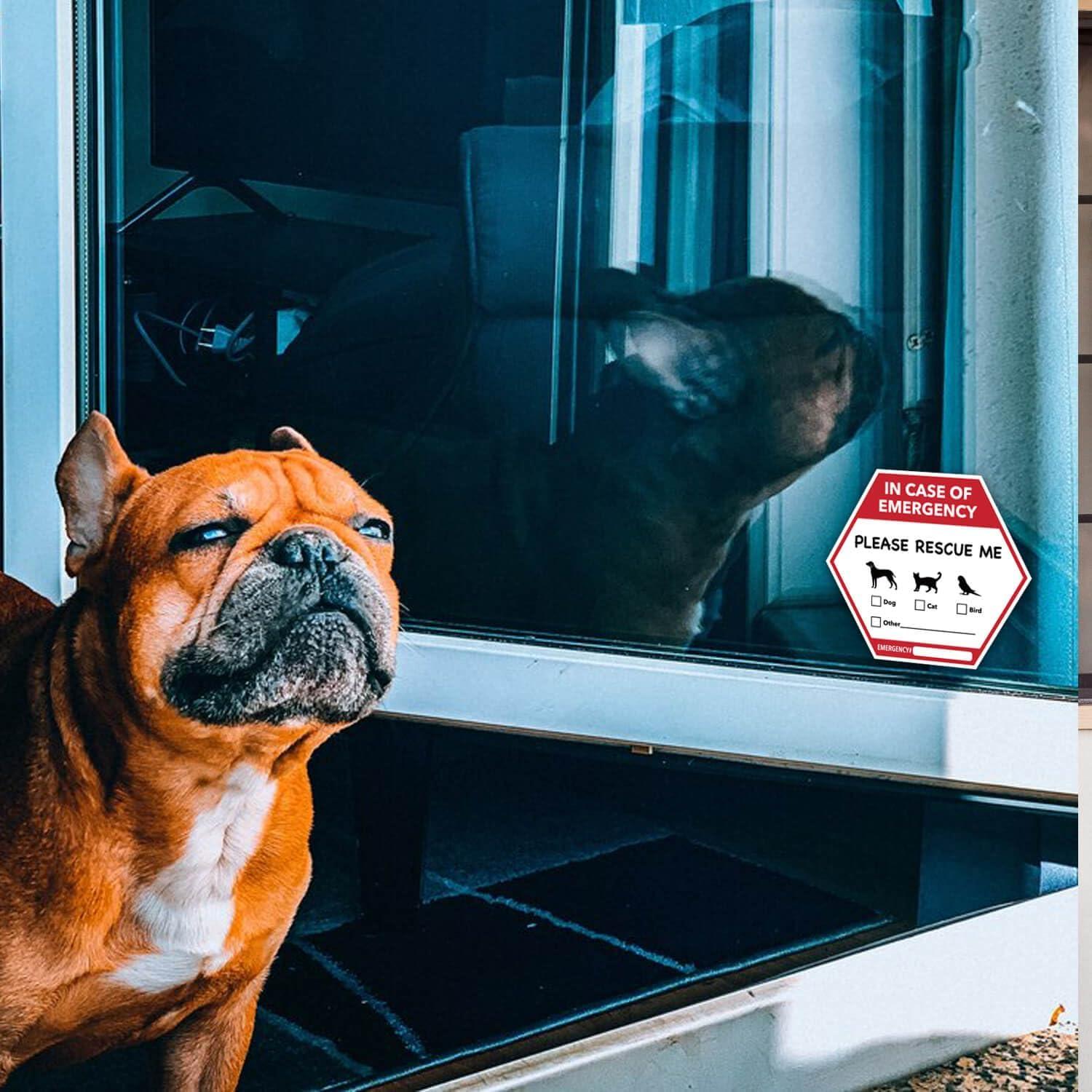 Calcomanías de Rescate de Mascotas TENTADO - 5 Piezas 12.7x10.9 cm