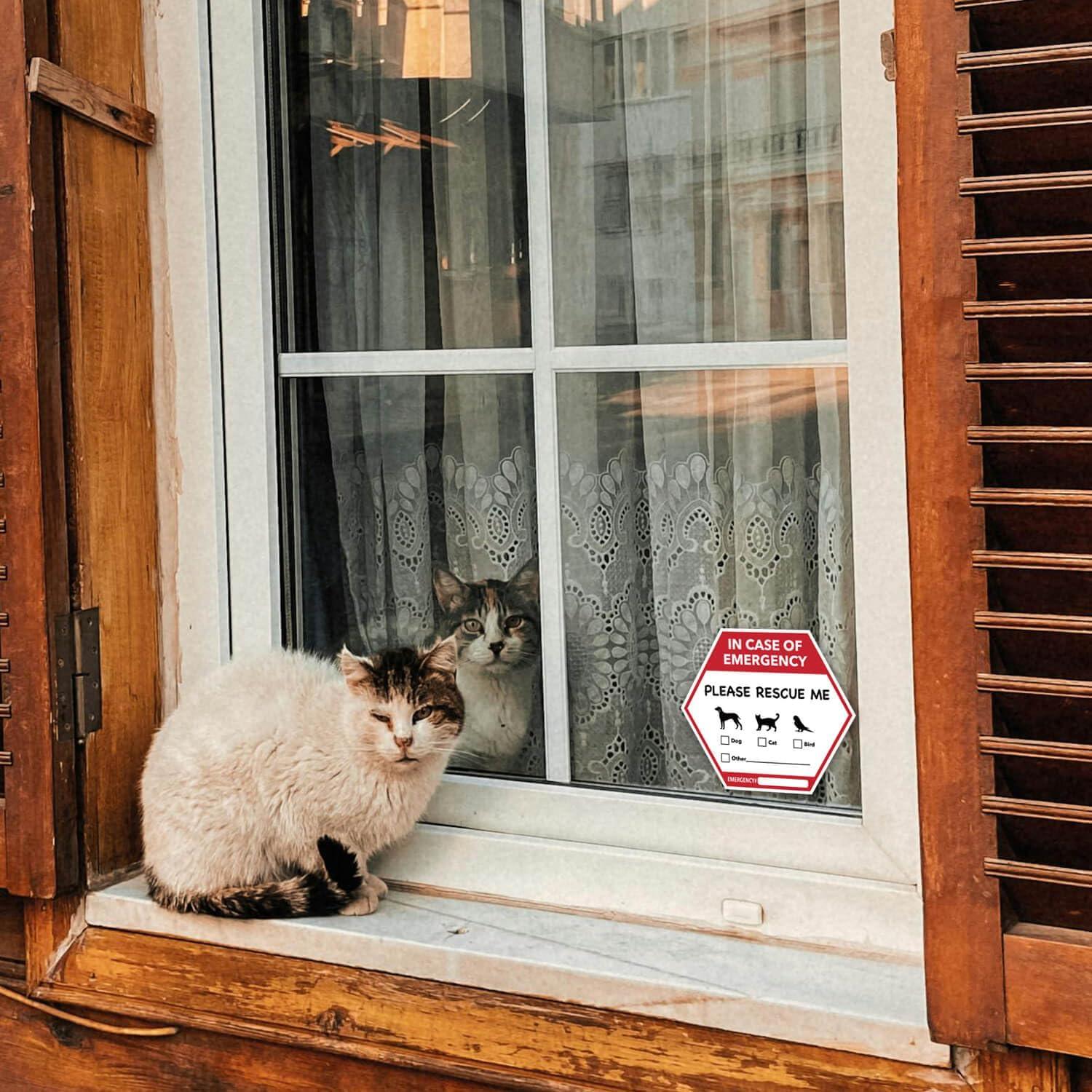 Calcomanías de Rescate de Mascotas TENTADO - 5 Piezas 12.7x10.9 cm