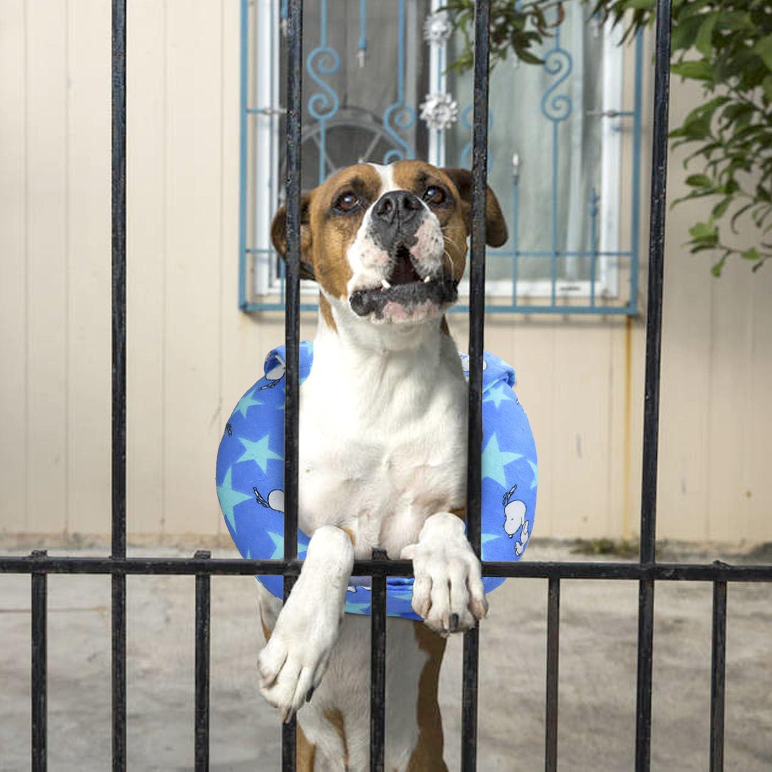 Collar de Seguridad para Perros Yuyuso - Previene Escapes 21.6 cm