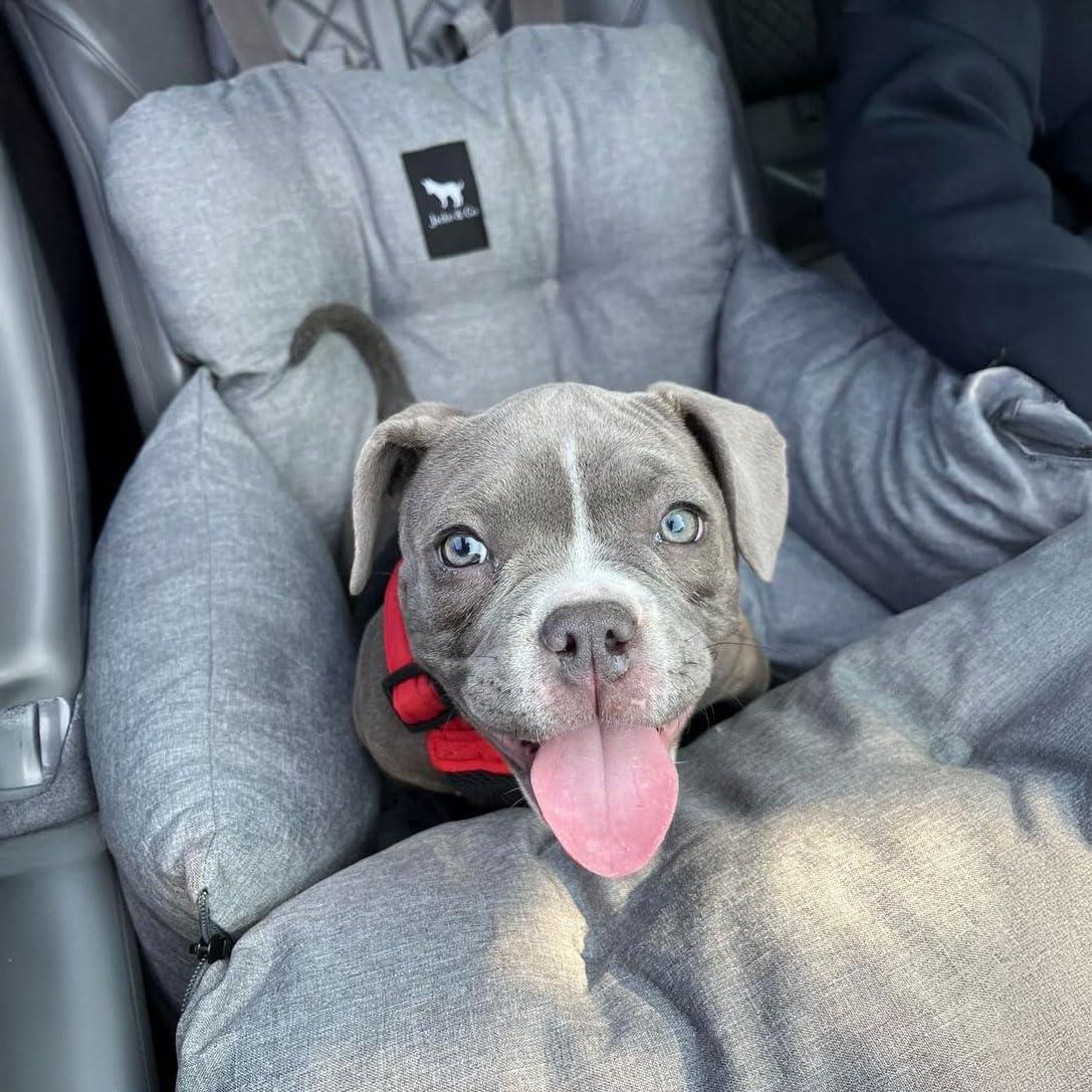 Asiento de Coche para Perros Jacko & Co Gris Pequeño 11.34 kg