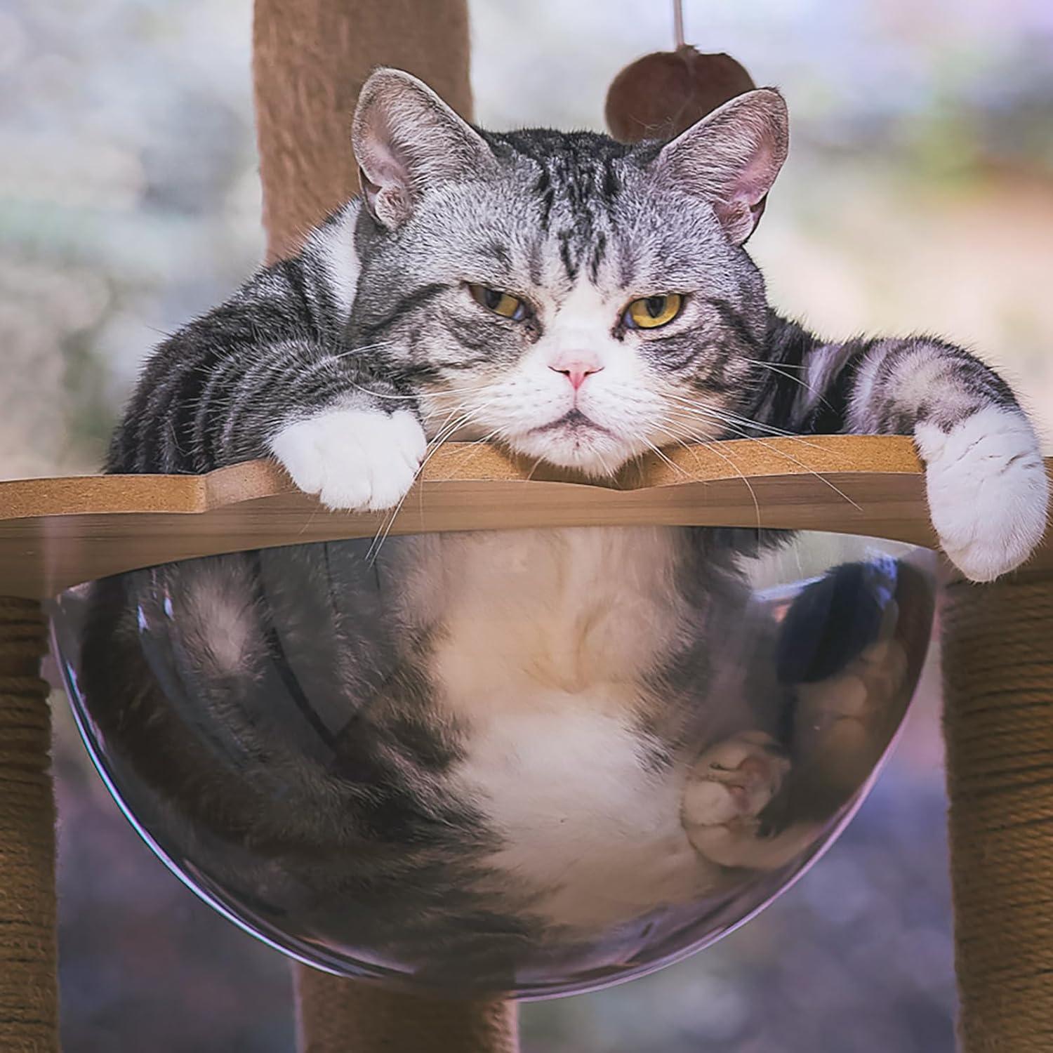 Ventana Burbuja para Mascotas Roopeem 30.99 cm - Paquete de 2