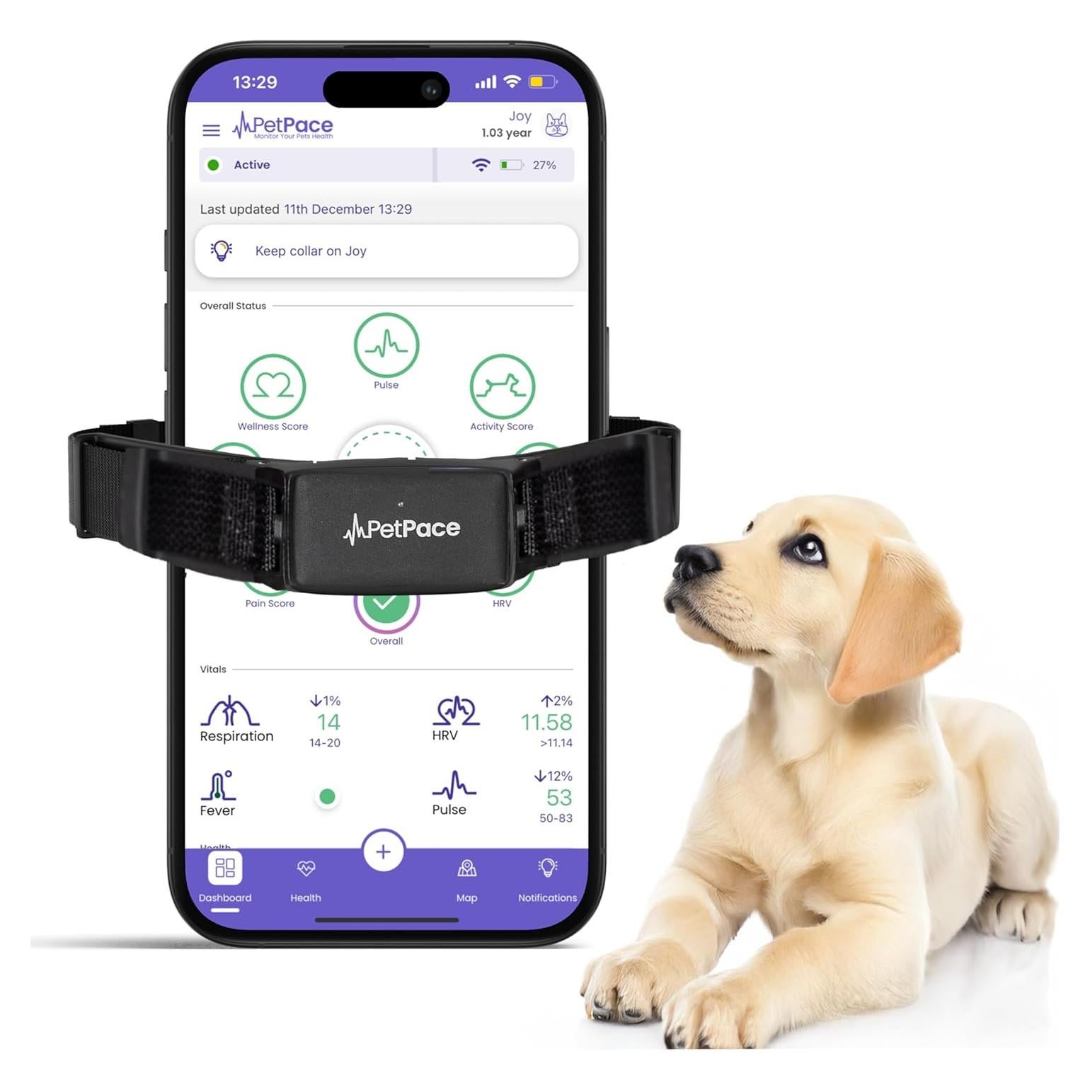 Collar Inteligente PetPace 2.0 Pequeño - Monitoreo Salud Canina