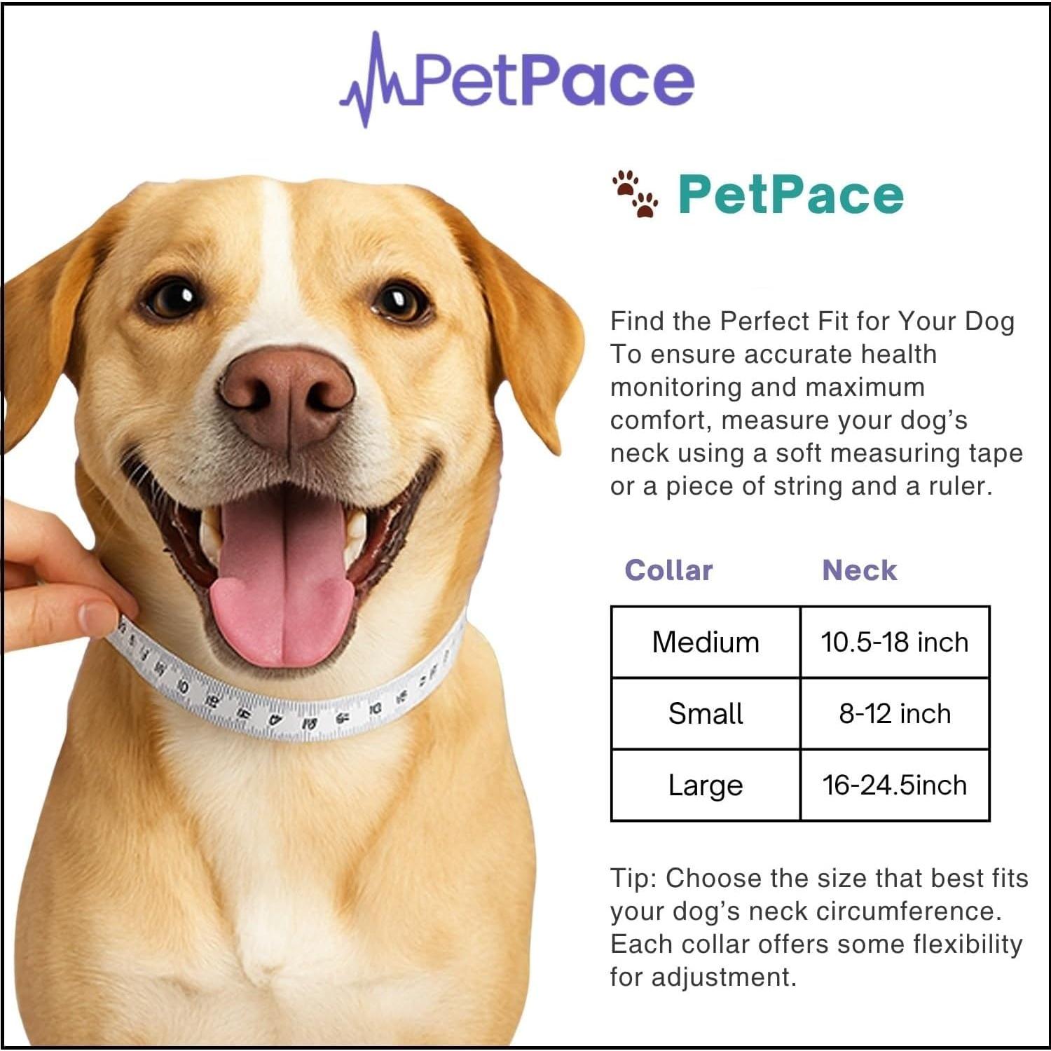 Collar Inteligente PetPace 2.0 Pequeño - Monitoreo Salud Canina