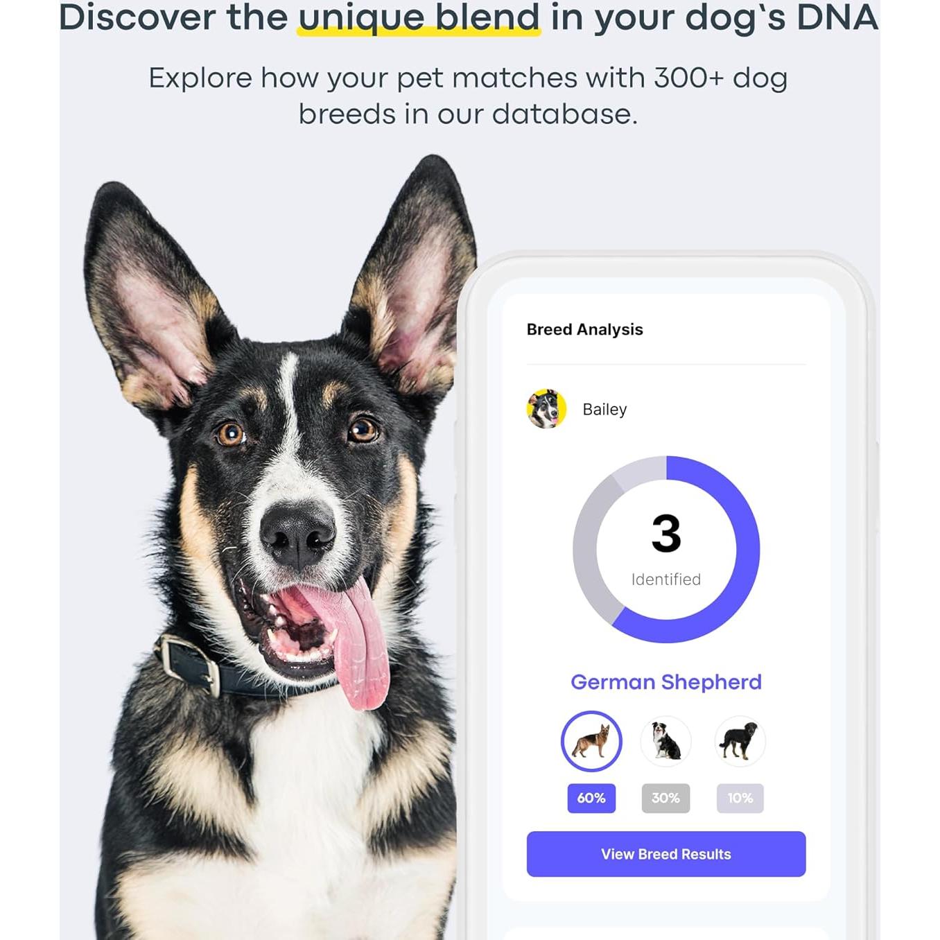 Kit de Prueba de ADN para Perros Basepaws - 300+ Razas y Salud