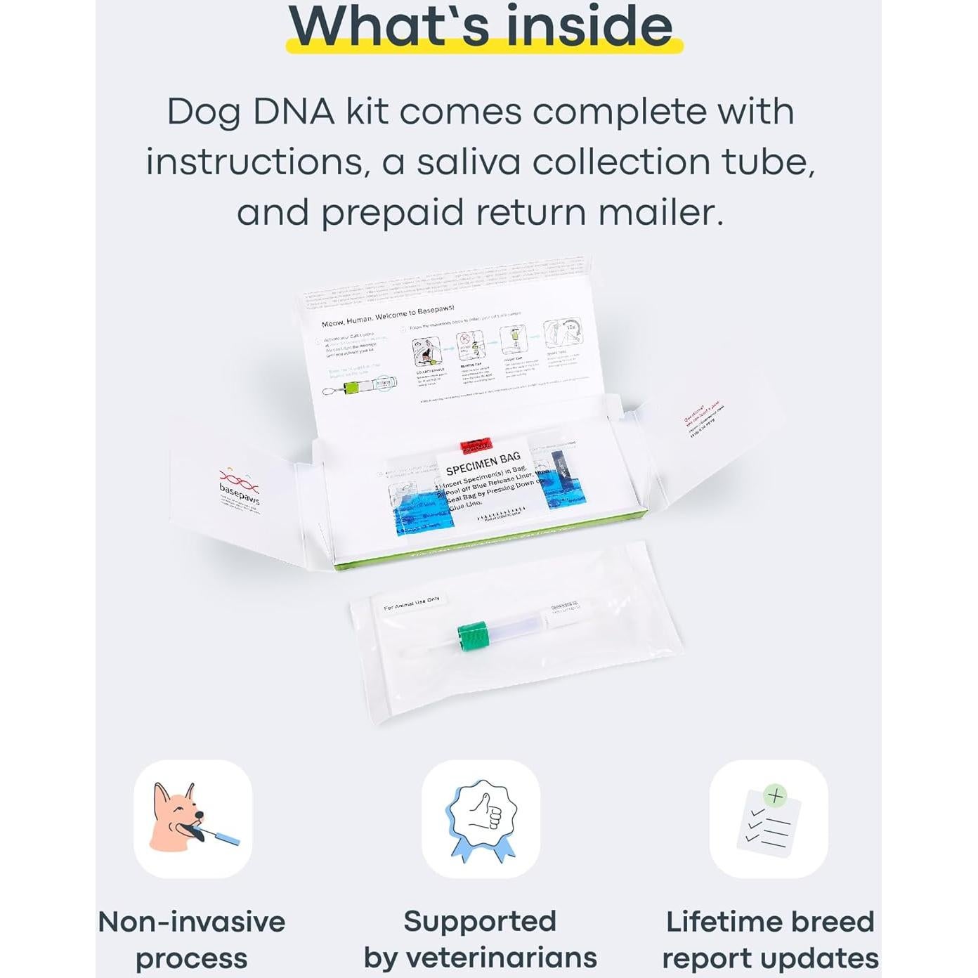 Kit de Prueba de ADN para Perros Basepaws - 300+ Razas y Salud