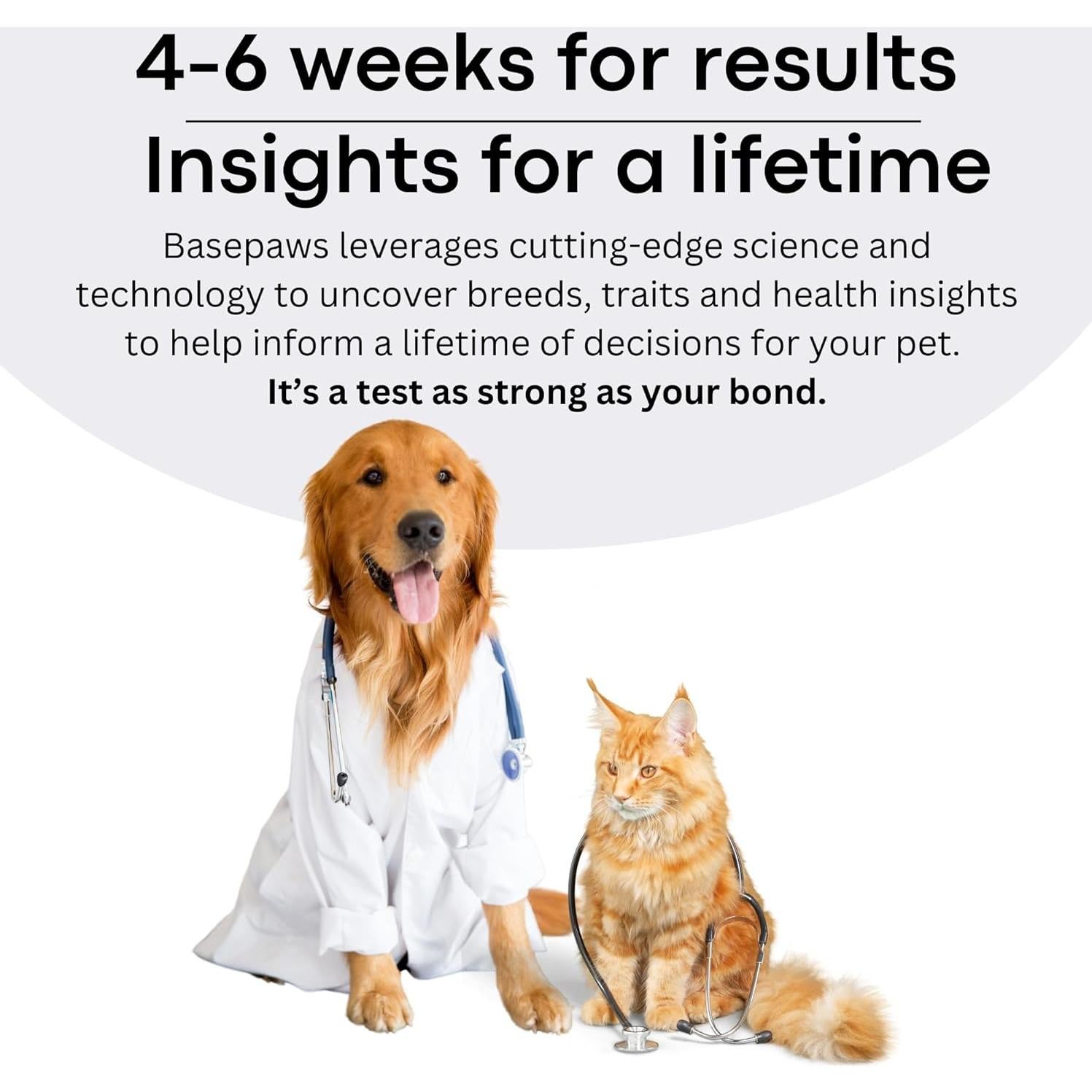 Kit de Prueba de ADN para Perros Basepaws - 300+ Razas y Salud