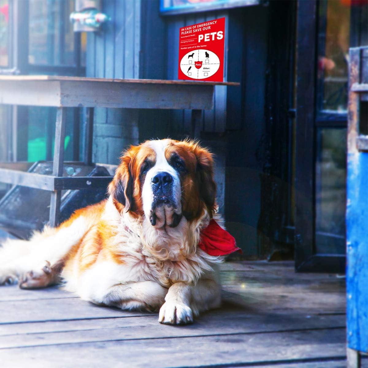 Pegatinas de Alerta para Mascotas Besttile 8 Pcs 10x11 cm