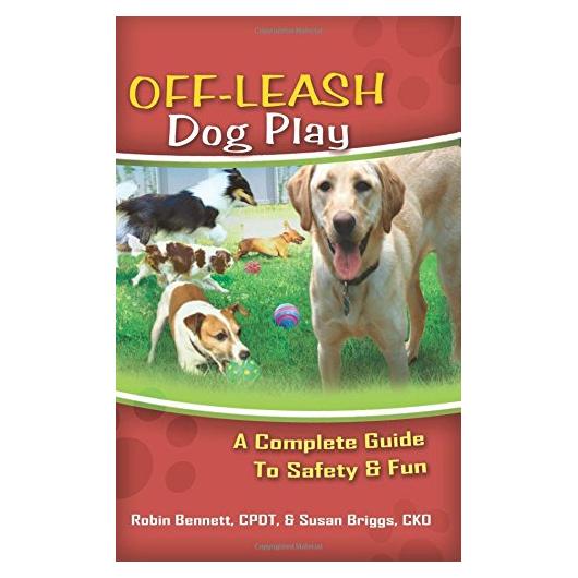 Off-Leash Dog Play: A Complete Guide to Safety and Fun