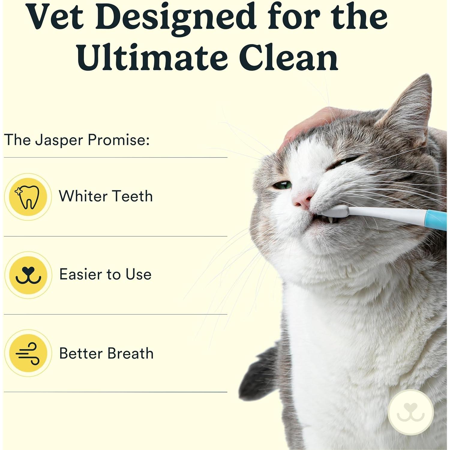 Cepillo de Dientes Microbrush Jasper para Gatos y Perros Pequeños