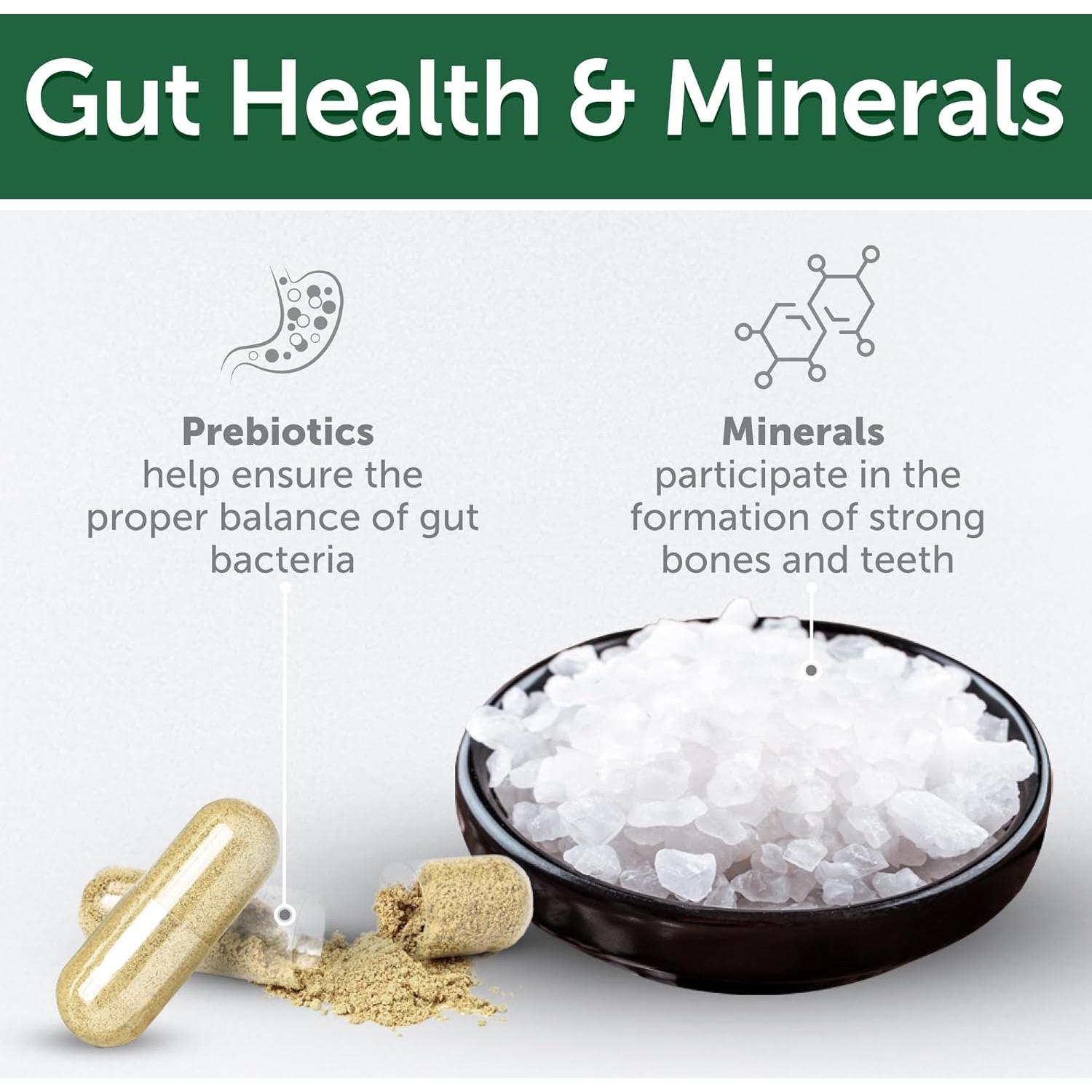 Golosinas para Perros Akvatera 150g - Cuidado Oral Insectos