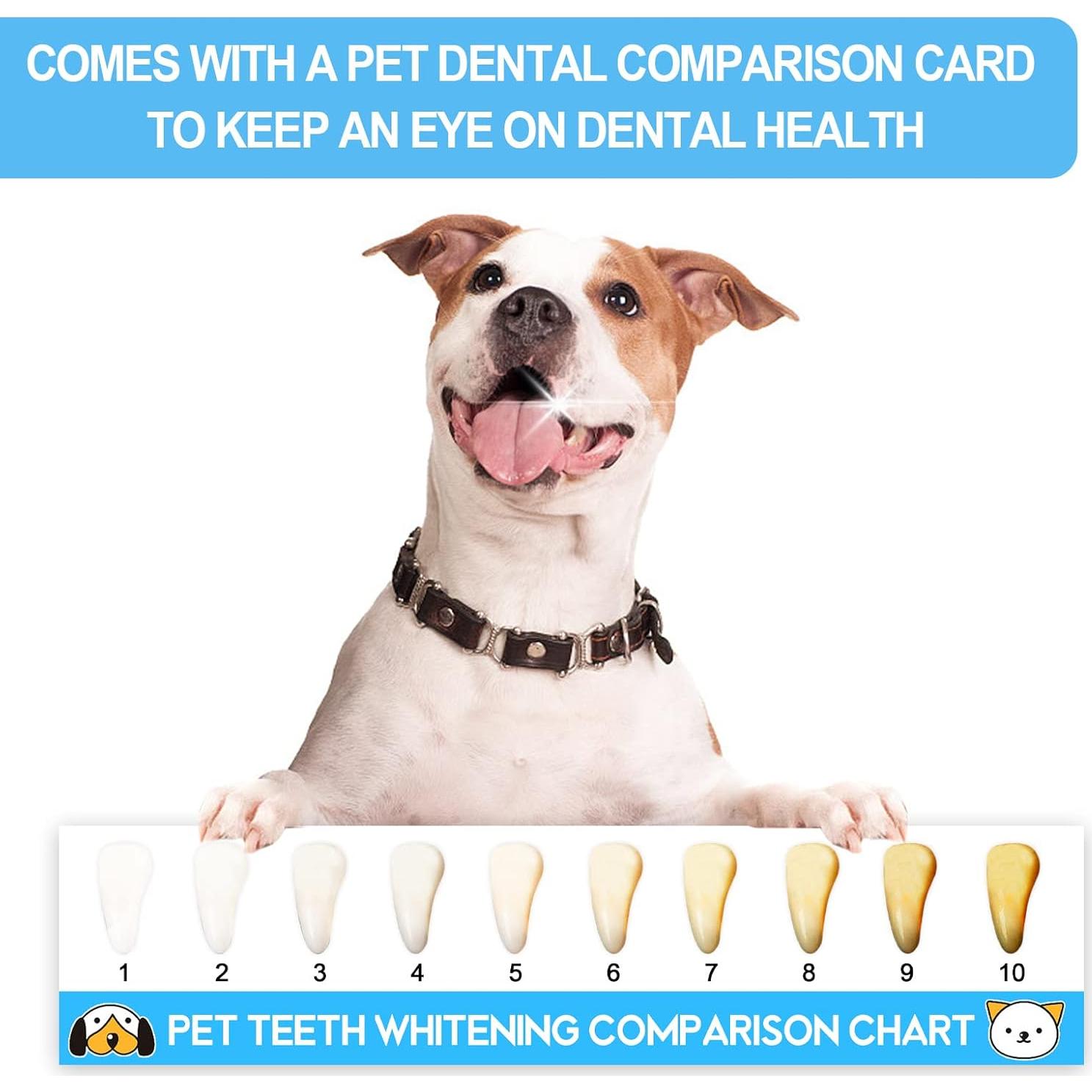 Kit de Cepillo Dental para Perros Pequeños VVHOMIFE - 5 Piezas