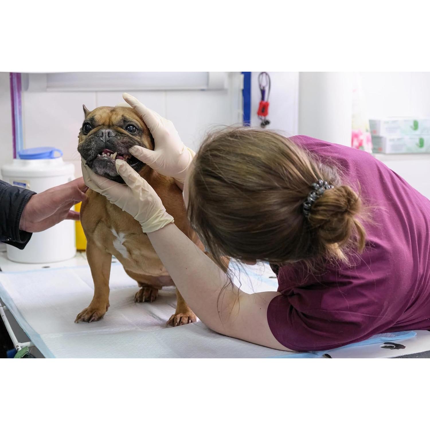 Kit de Limpieza Dental Formit Craft - Raspador, Espejo y Pinzas