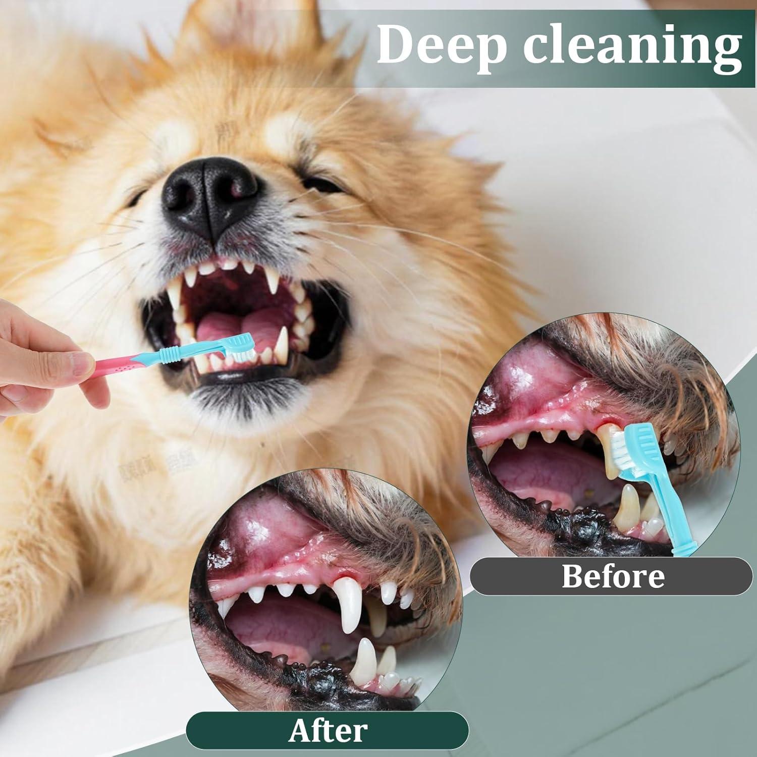 Kit de Cepillos de Dientes para Mascotas Quilax - 2 Pcs Triple Cabezal