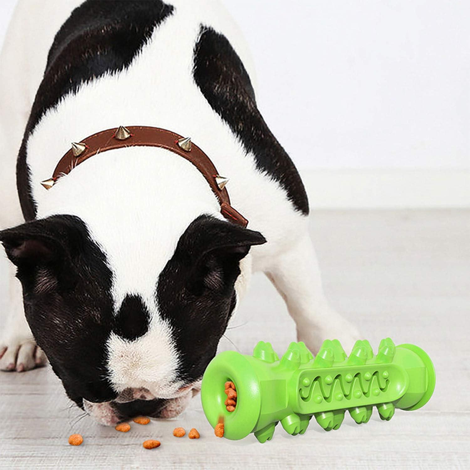 Juguete de Masticar para Perros Guardians - Cepillo Dental 15.24 cm