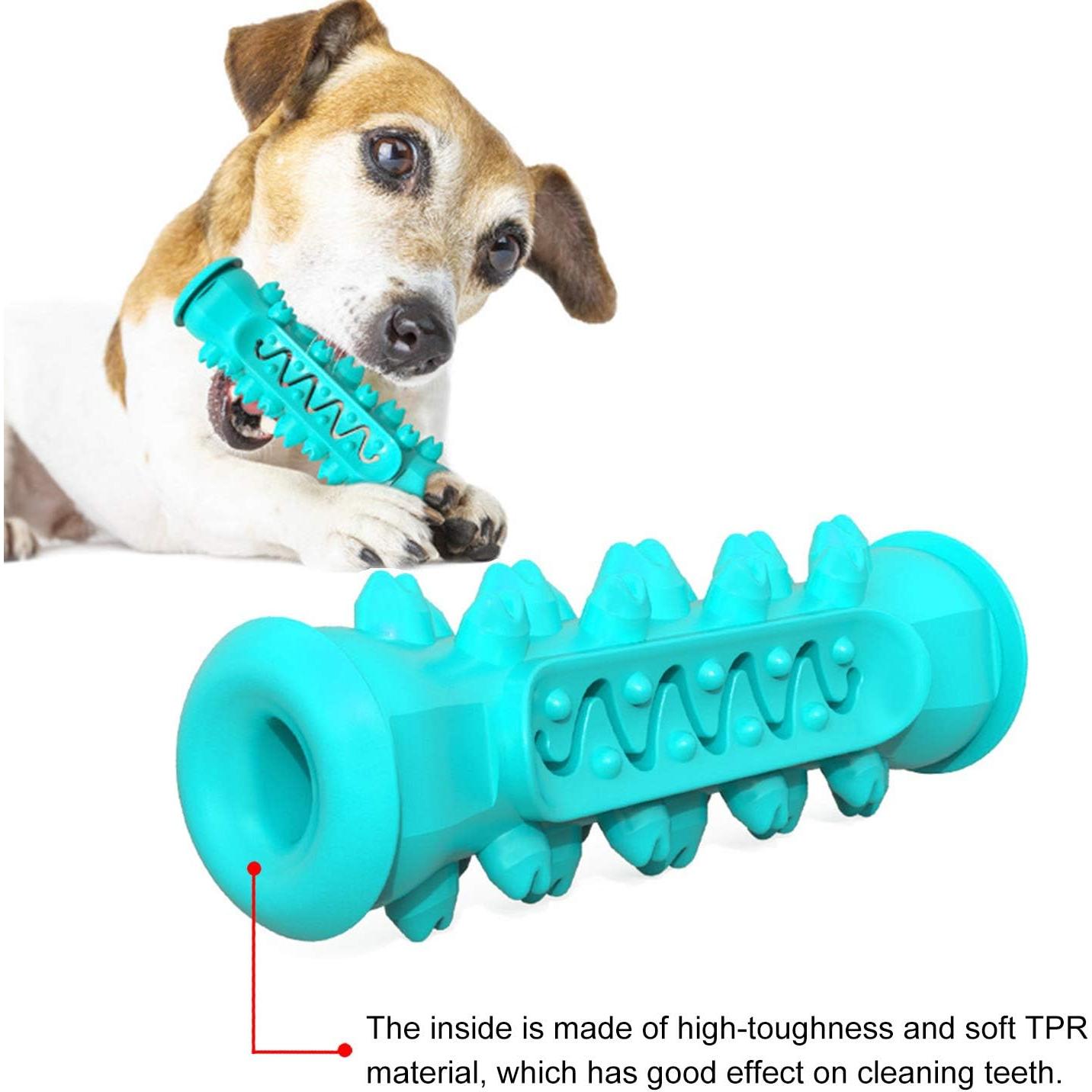 Juguete de Masticar para Perros Guardians - Cepillo Dental 15.24 cm