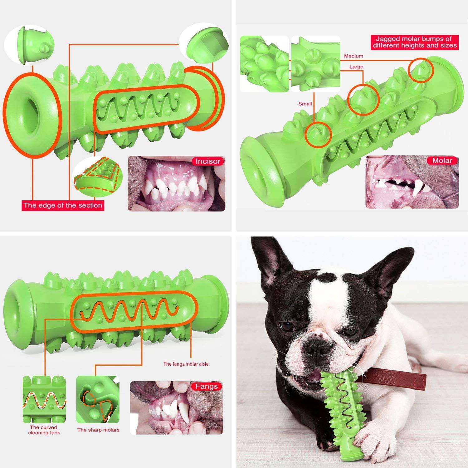 Juguete de Masticar para Perros Guardians - Cepillo Dental 15.24 cm