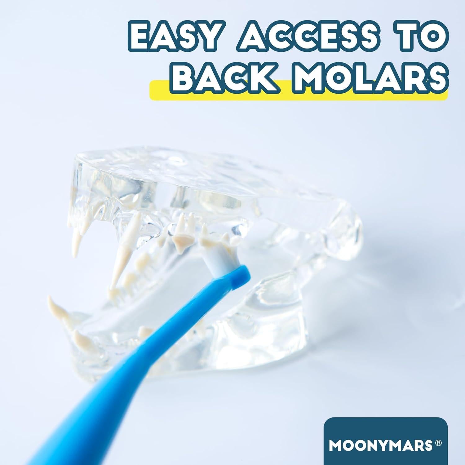 Kit Cepillo de Dientes para Perros y Gatos Pequeños Wenzhou - Azul