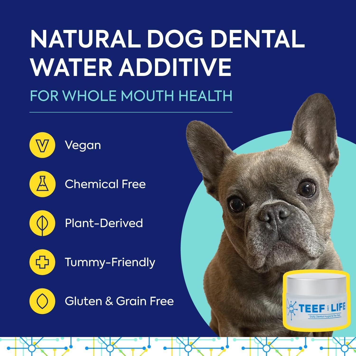 Polvo Dental Prebiótico TEEF Protektin42 para Perros 30 Porciones