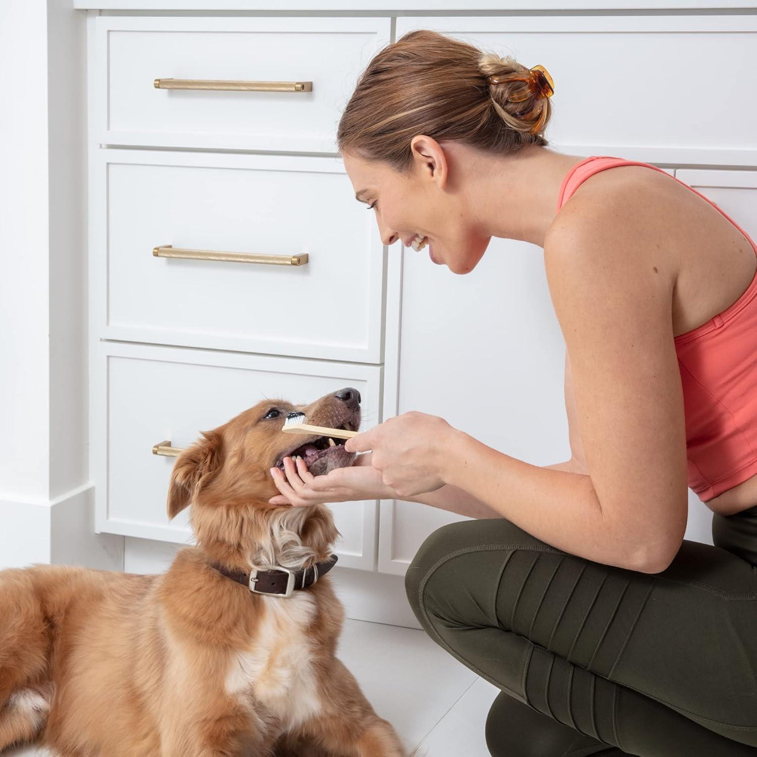 Cepillo de Dientes para Perros y Gatos Prymal - Paquete de 4