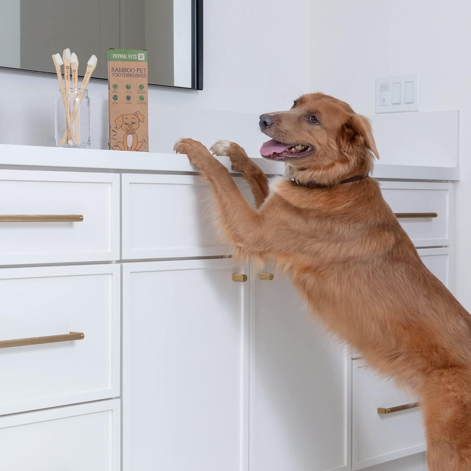 Cepillo de Dientes para Perros y Gatos Prymal - Paquete de 4