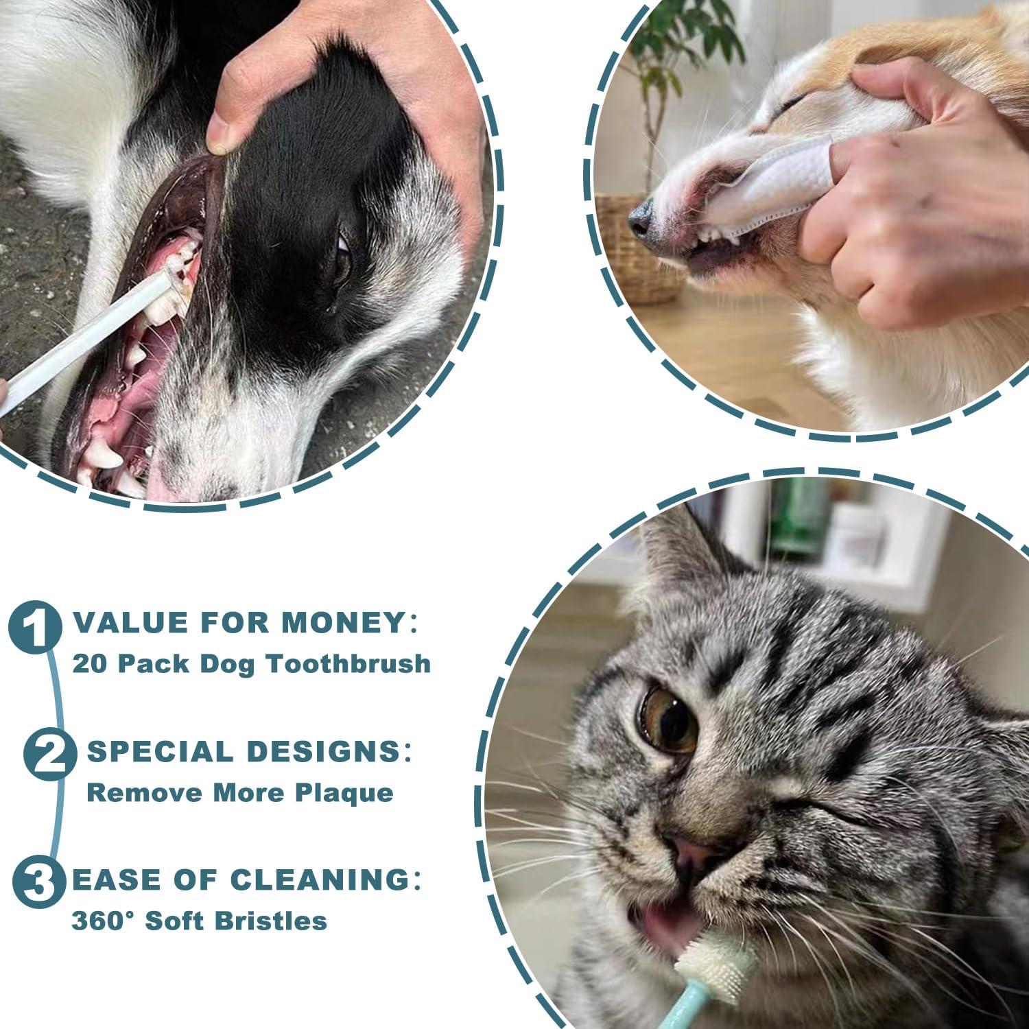 Kit de Cepillo Dental para Perros Uyiixoxo - 20 Cabezas Reemplazables