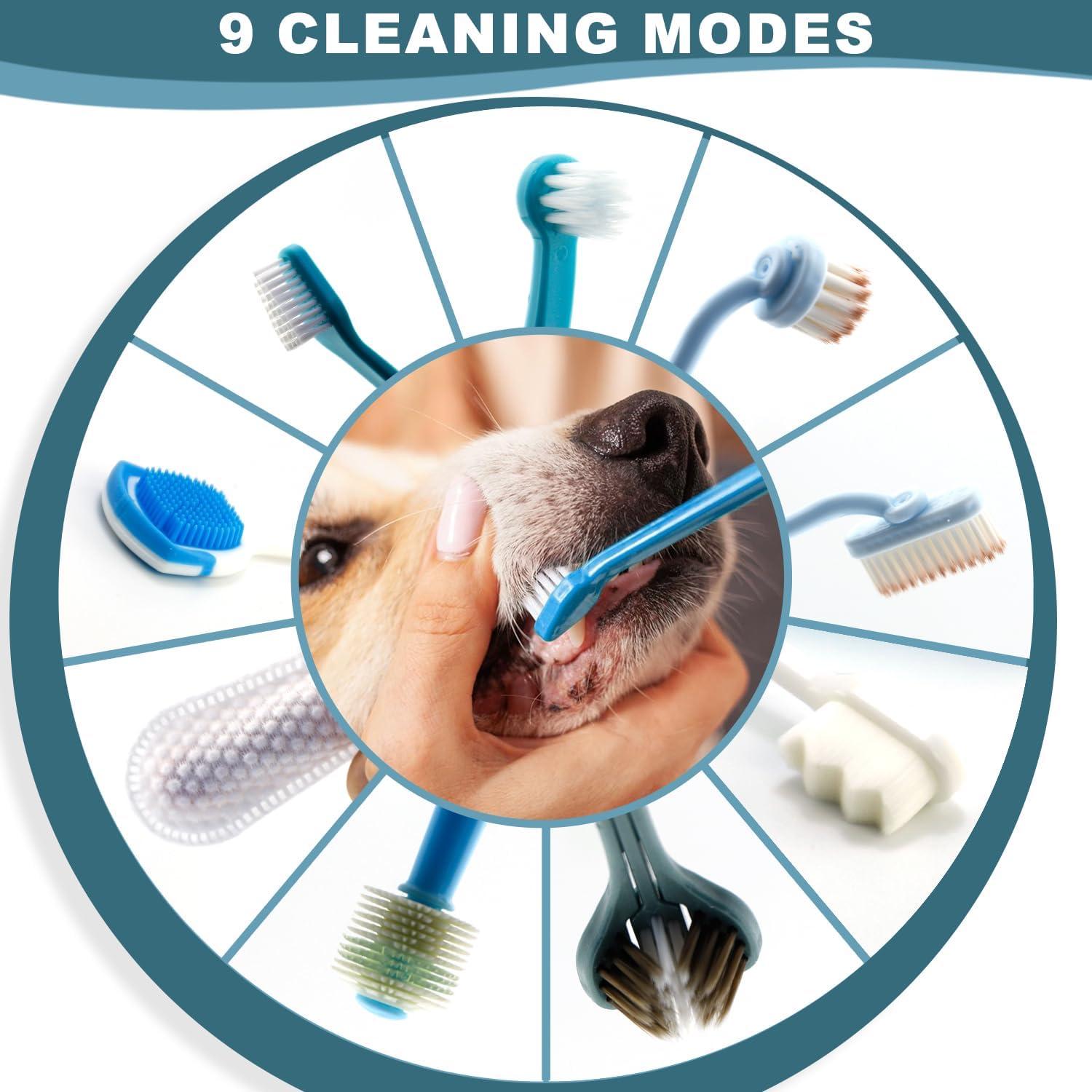 Kit de Cepillo Dental para Perros Uyiixoxo - 20 Cabezas Reemplazables