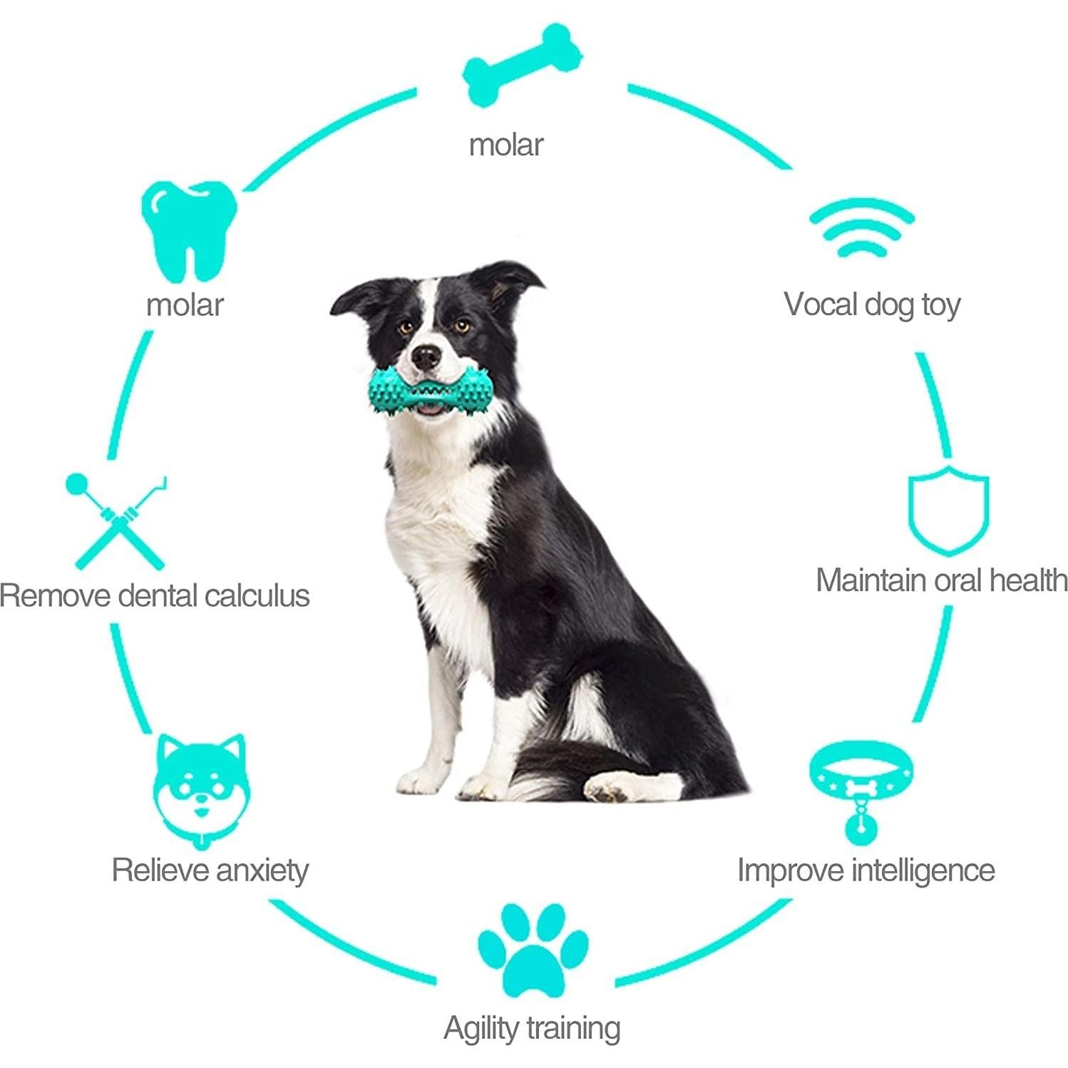 Juguete de Masticar para Perros CERISURIO Cepillo Dental Azul