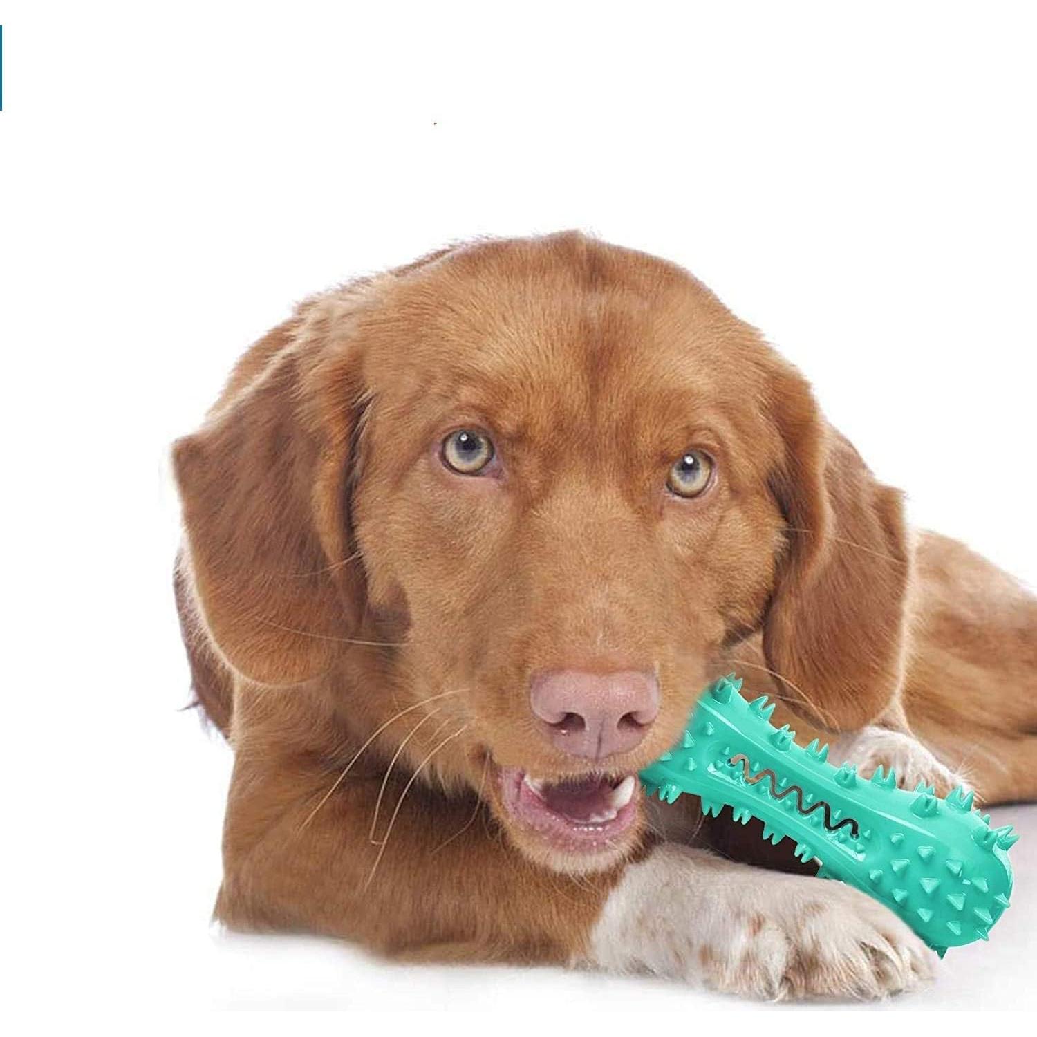 Juguete de Masticar para Perros CERISURIO Cepillo Dental Azul