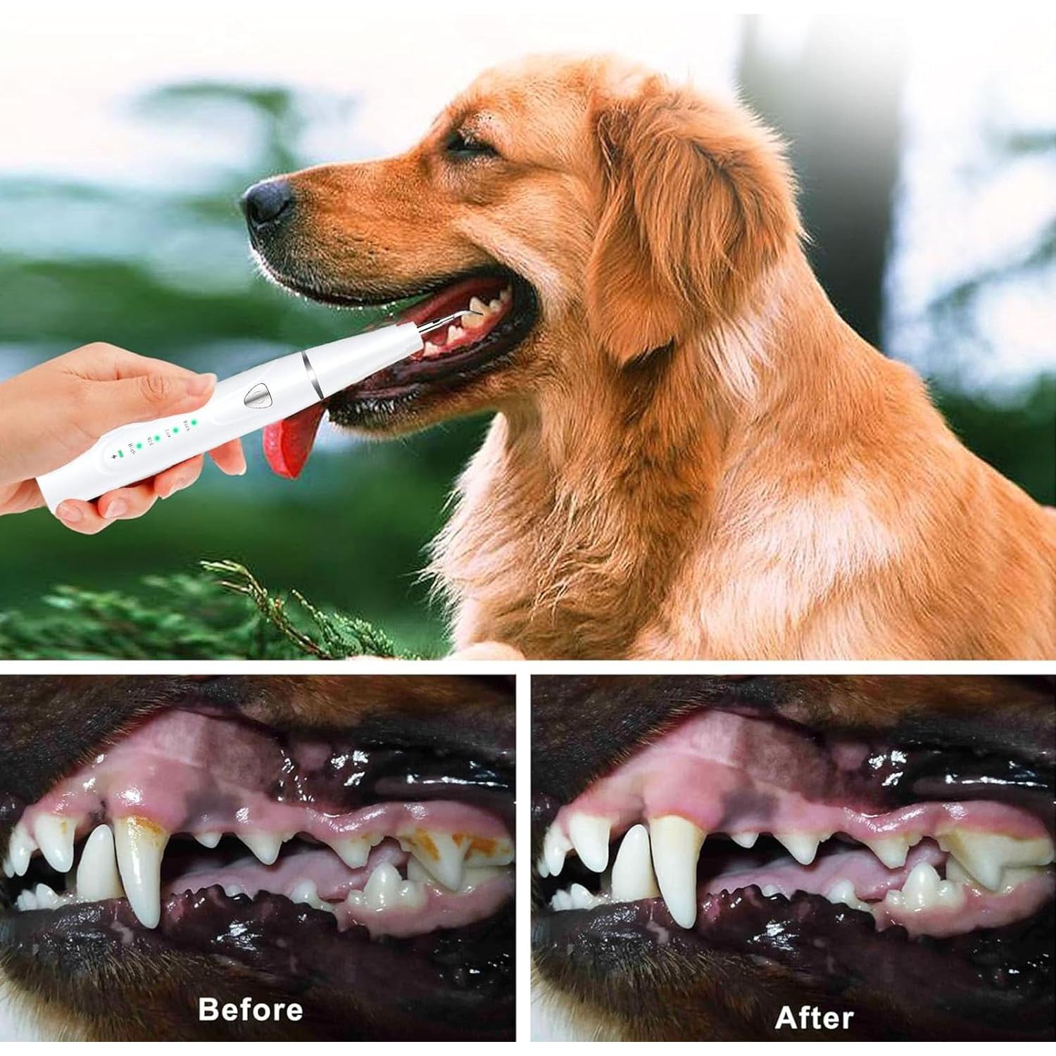 Kit de Limpieza Dental Ultrasónico para Perros Psytpusa - 9 Piezas