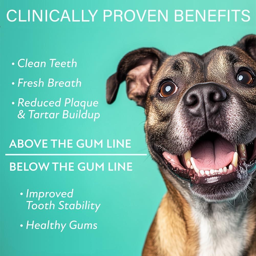 ProBesties Cuidado Oral Completo para Perros 30g - Eliminador Mal Aliento