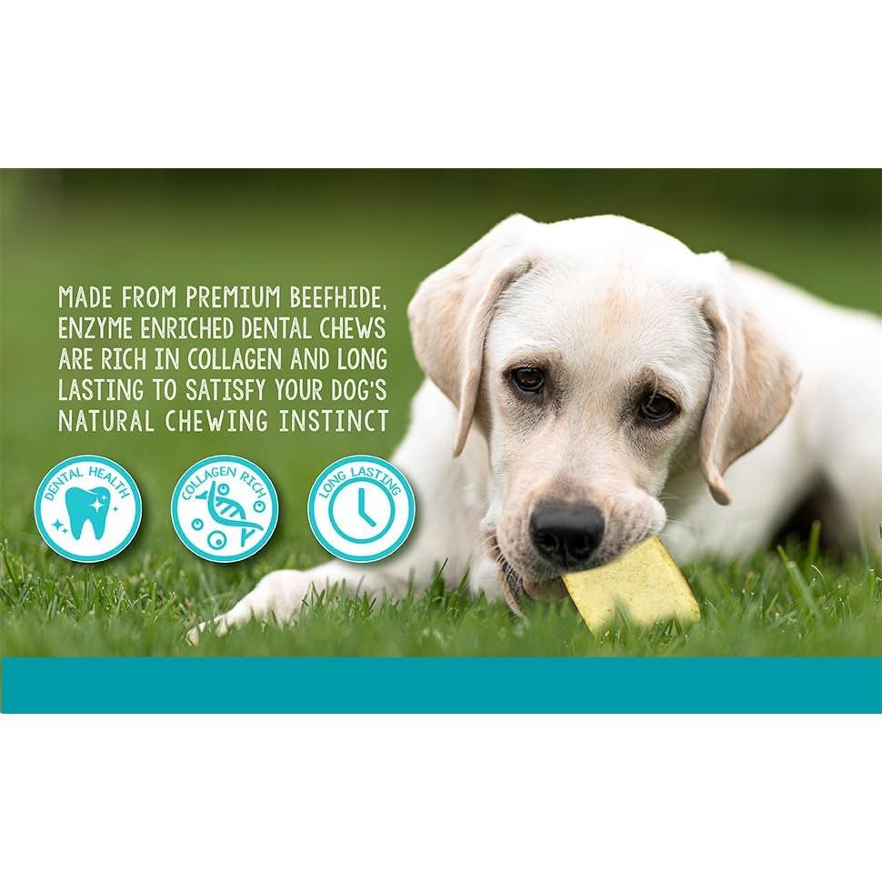 Masticables Dentales Enriquecidos con Enzimas Real Hide 240 g