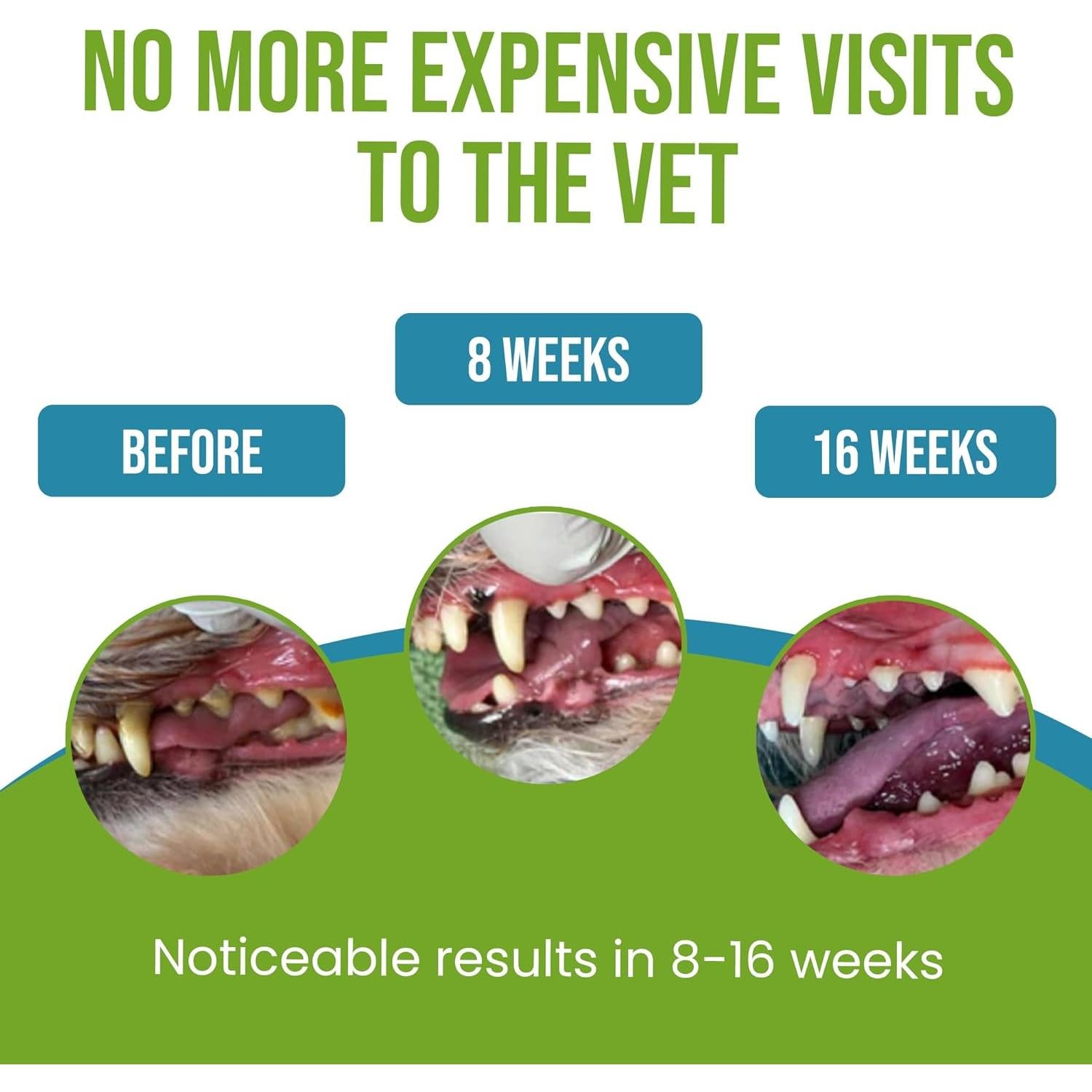 Caniclean Removedor de Sarro para Perros - Algas Irlandesas 100g