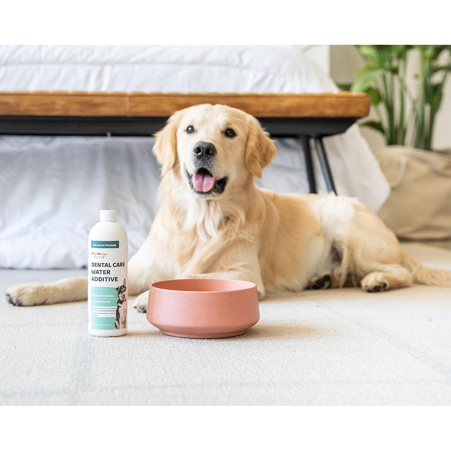 Aditivo Dental para Perros y Gatos Wellnergy Pets 473 ml