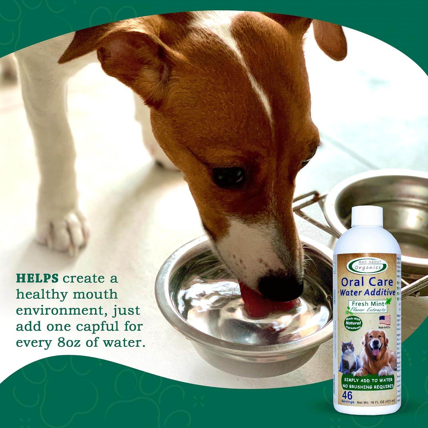 Aditivo de Agua Dental para Mascotas Mad About Organics 473ml - Sabor Menta