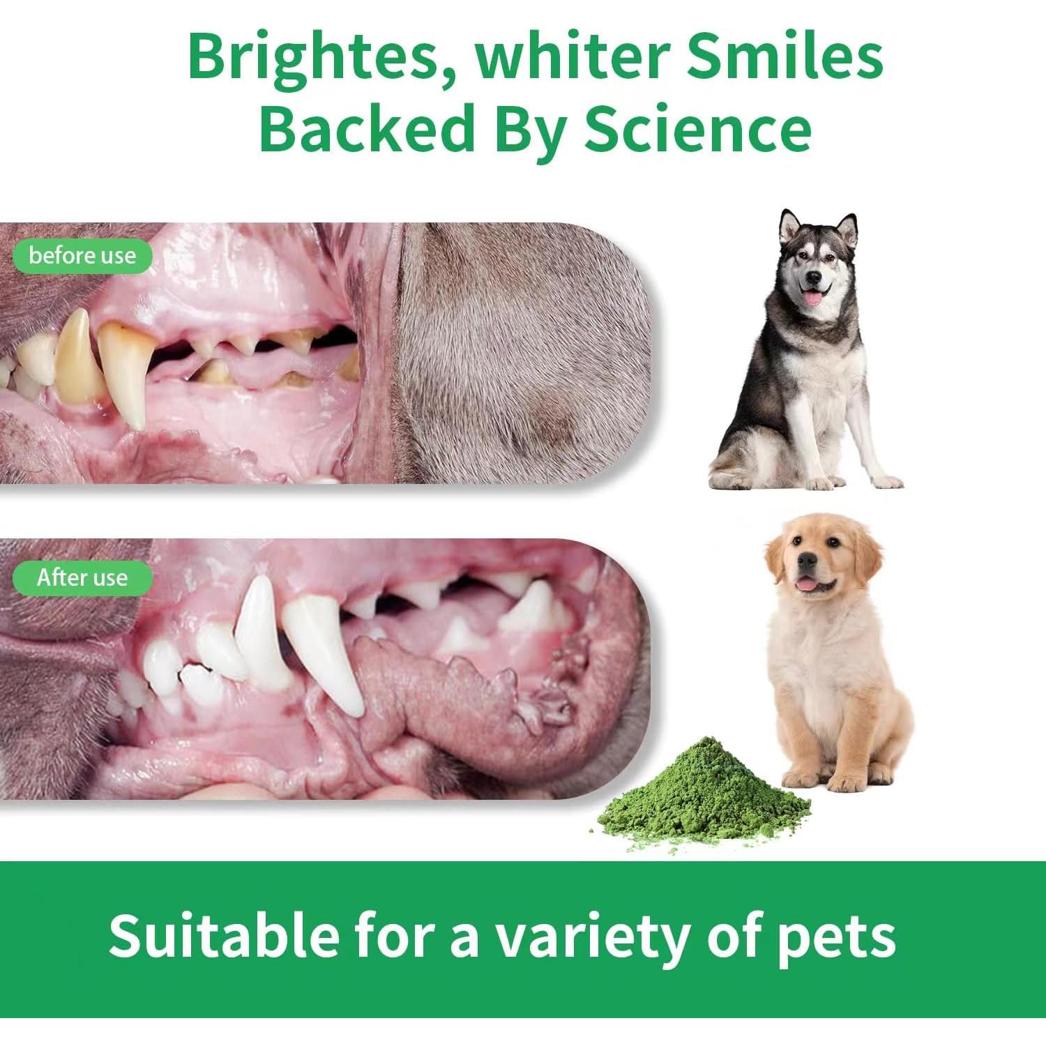 Polvo Dental HONGYEE para Perros y Gatos - 80g, Limpieza Oral