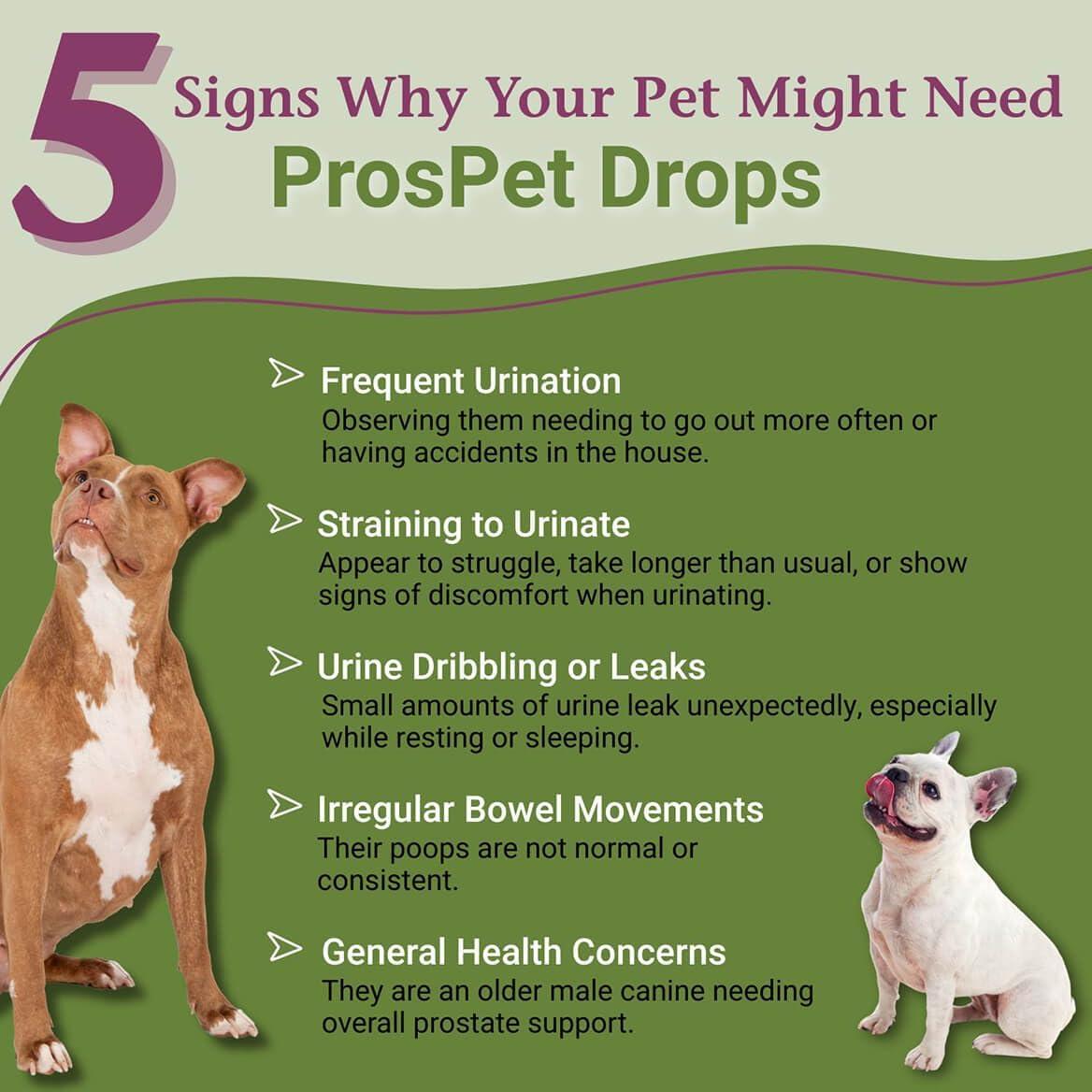 Gotas ProsPet PetAlive para Salud Prostática de Perros 60ml