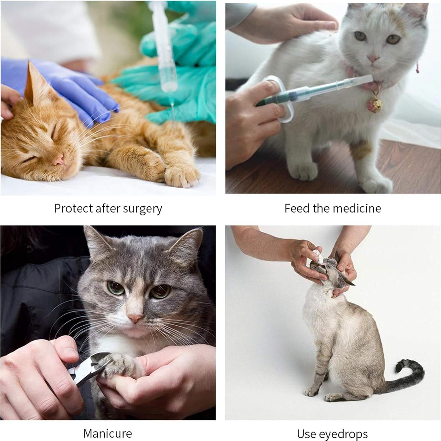 Collar de Recuperación Ajustable WZ PET para Gatos y Perros Pequeños Rosa