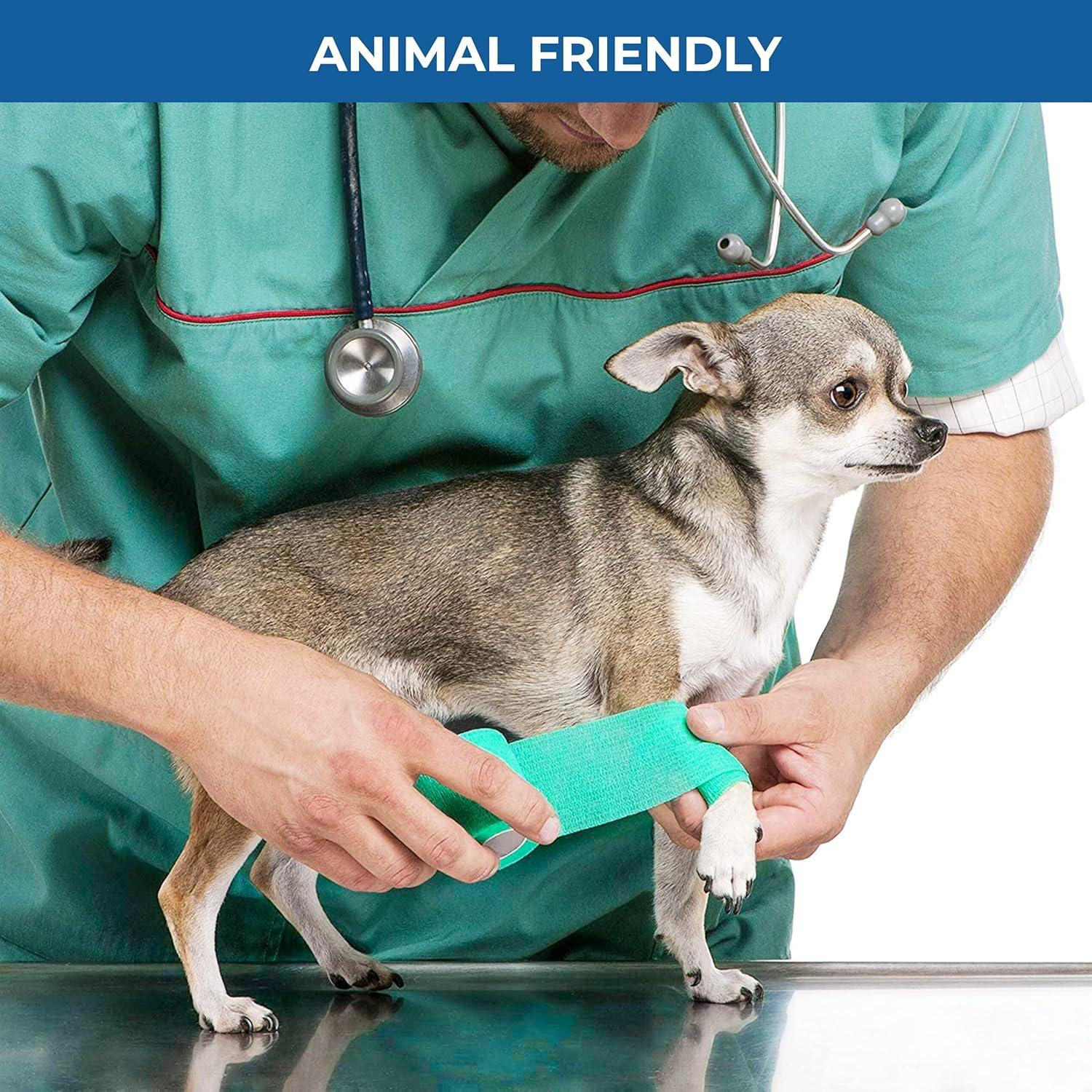 Venda Autoadhesiva Bandvet Wrap 5.08 cm Multicolor - 12 Pzas