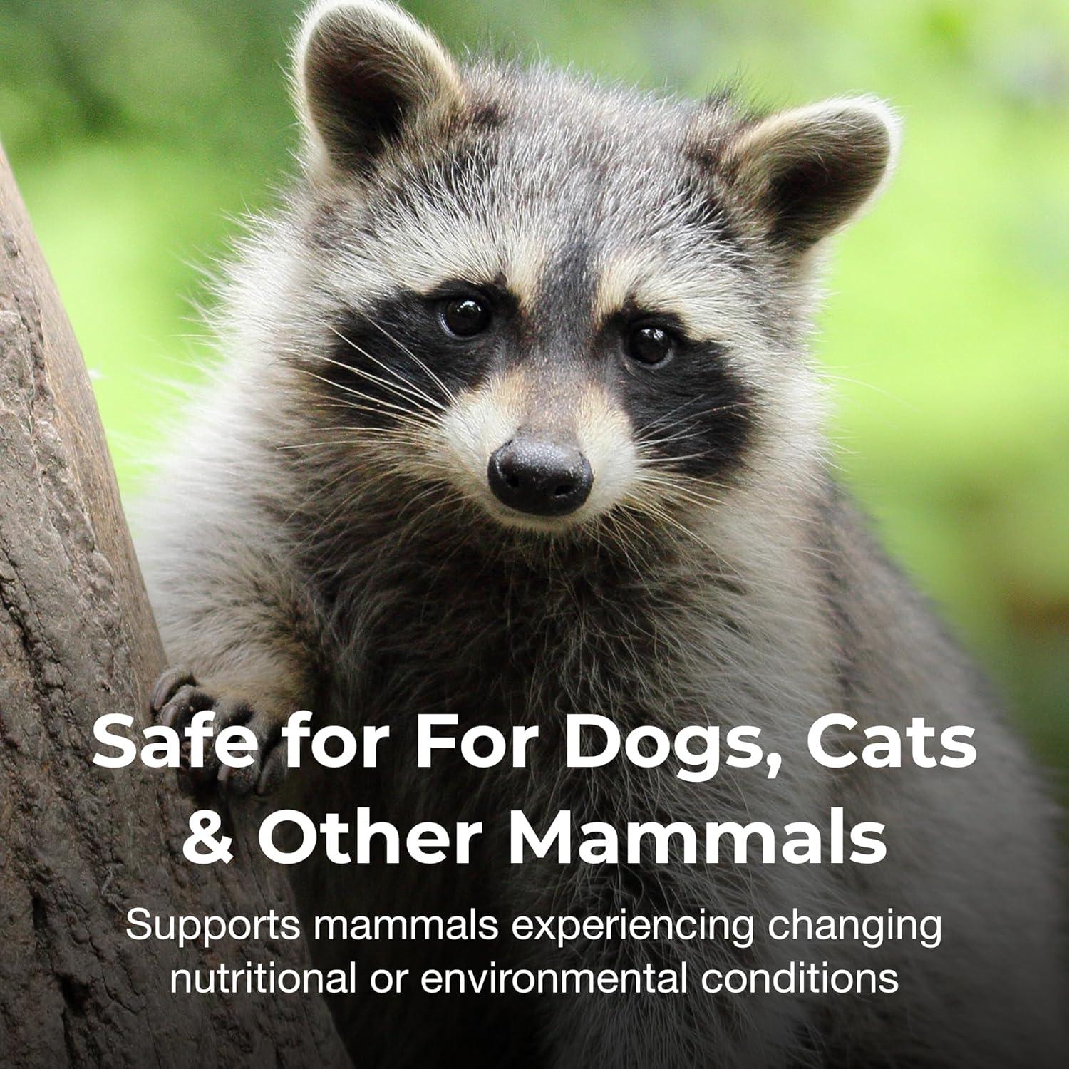 Gel Bene-Bac Plus PetAg 15g - Probioticos para Mascotas