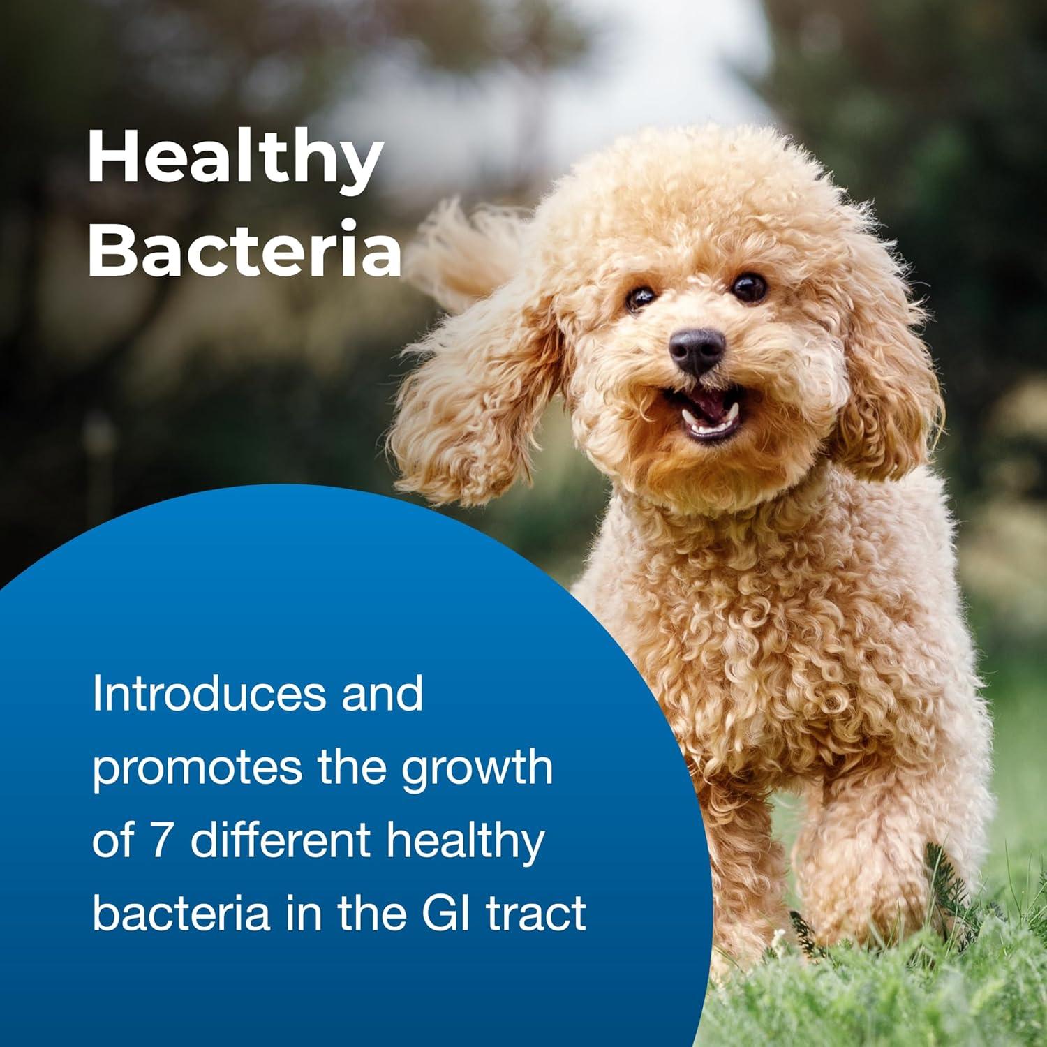 Gel Bene-Bac Plus PetAg 15g - Probioticos para Mascotas