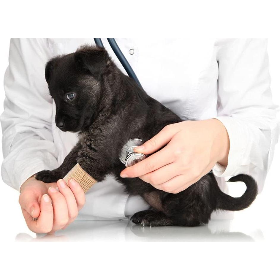 Paquete de 24 vendajes autoadhesivos WeTop 5.08 cm marrón