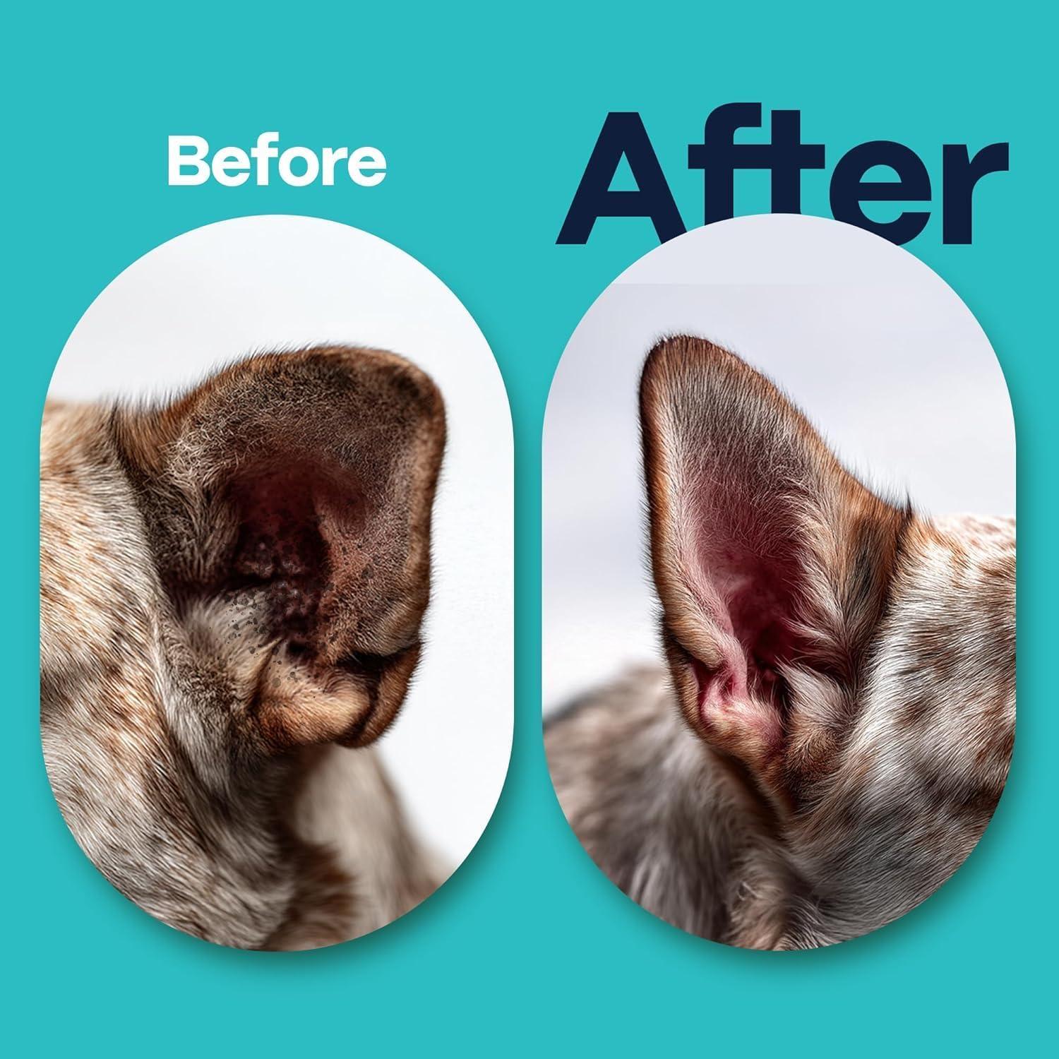 Toallitas Limpiadoras de Oídos DOCO para Perros y Gatos - 50 Unidades