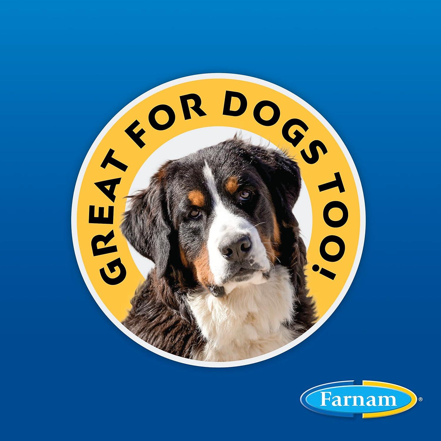 Ungüento Repelente de Moscas SWAT Farnam 198 g para Caballos y Perros