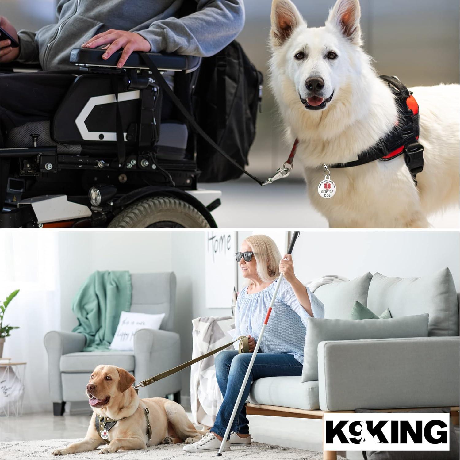 Placa de Identificación de Perro de Servicio K9King 3.18 cm