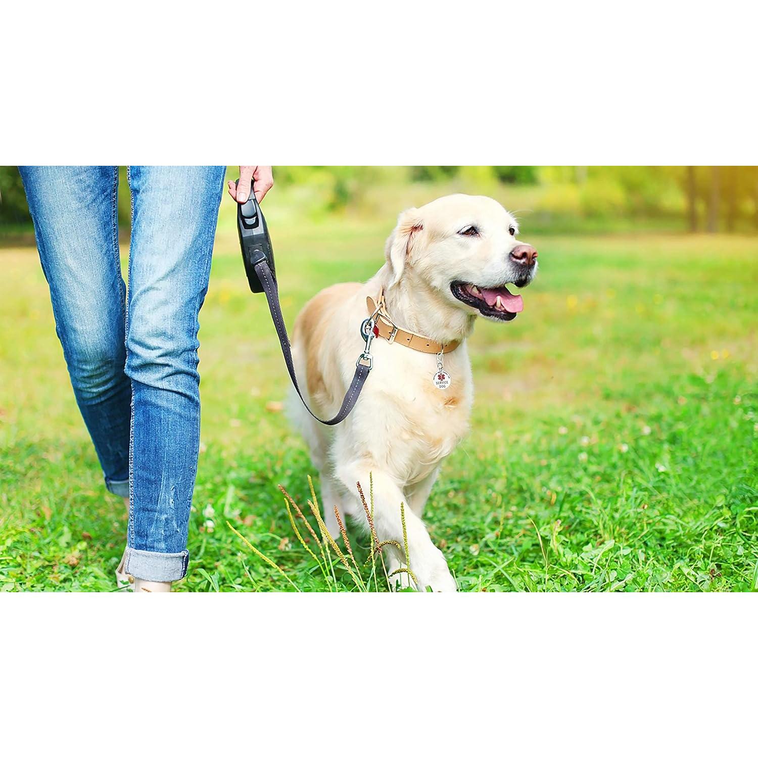 Placa de Identificación de Perro de Servicio K9King 3.18 cm