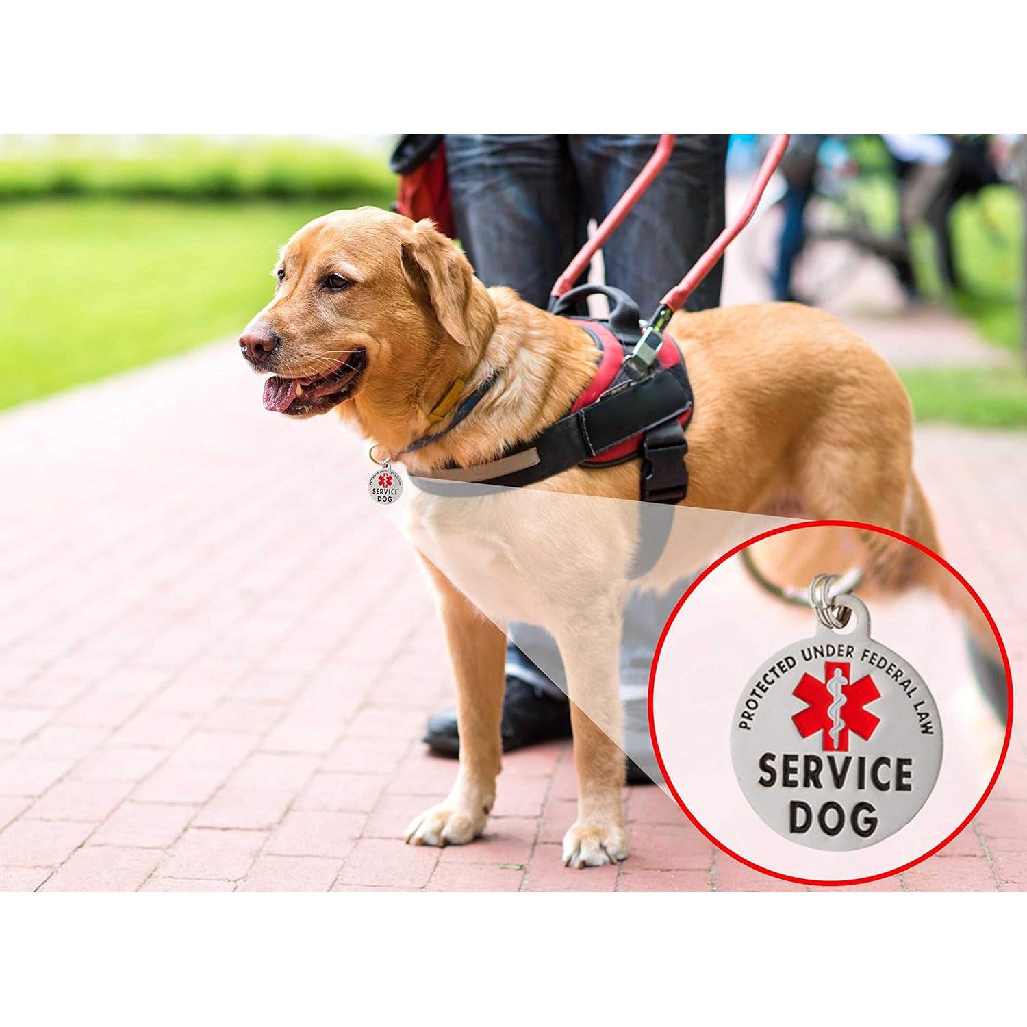 Placa de Identificación de Perro de Servicio K9King 3.18 cm