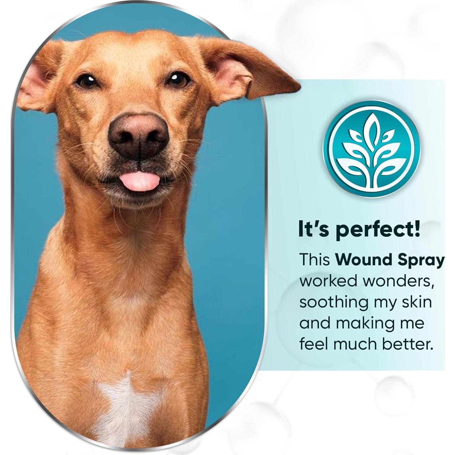 Spray para heridas de perro LeAcademic 113.4 ml con clorhexidina