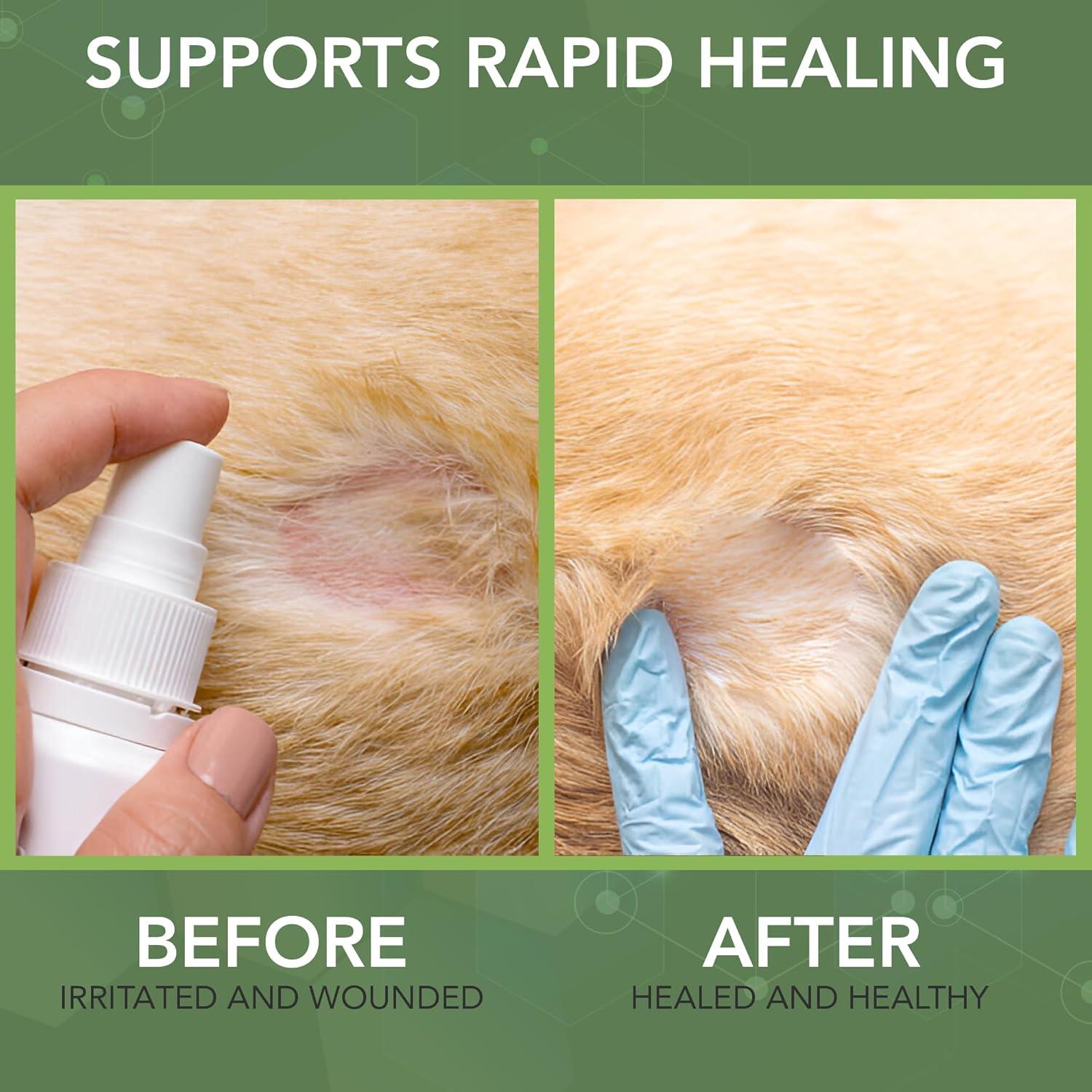 Spray Terapéutico para Heridas de Perros NOVEHA 226.8 ml