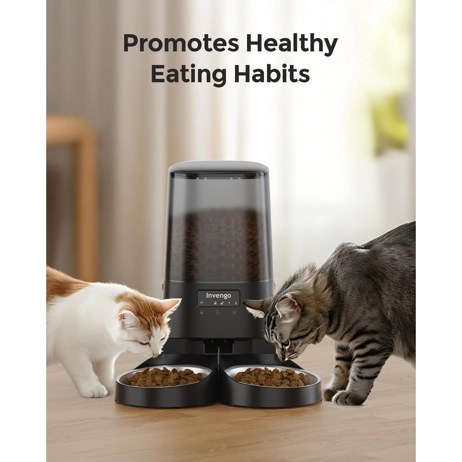 Dispensador Automático de Comida para Gatos Invengo S20D 5L WiFi