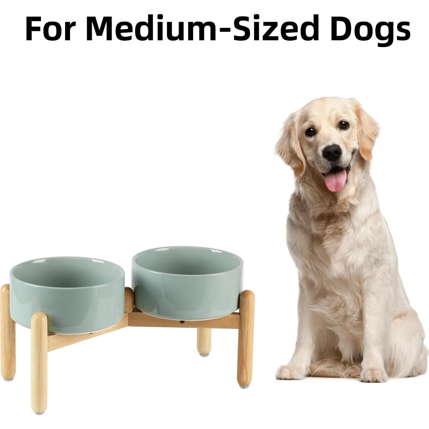 Juego de Cuencos Dobles Elevados Havniva Cerámica 18.5 cm Verde Claro